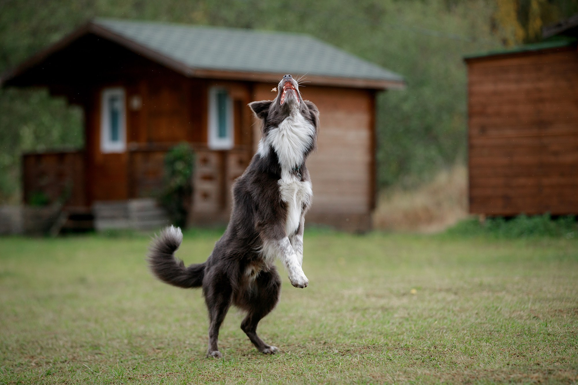 Лагерь по ОБД с Инной Баженовой. Фотограф-анималист Mary Mart — Москва, Питер