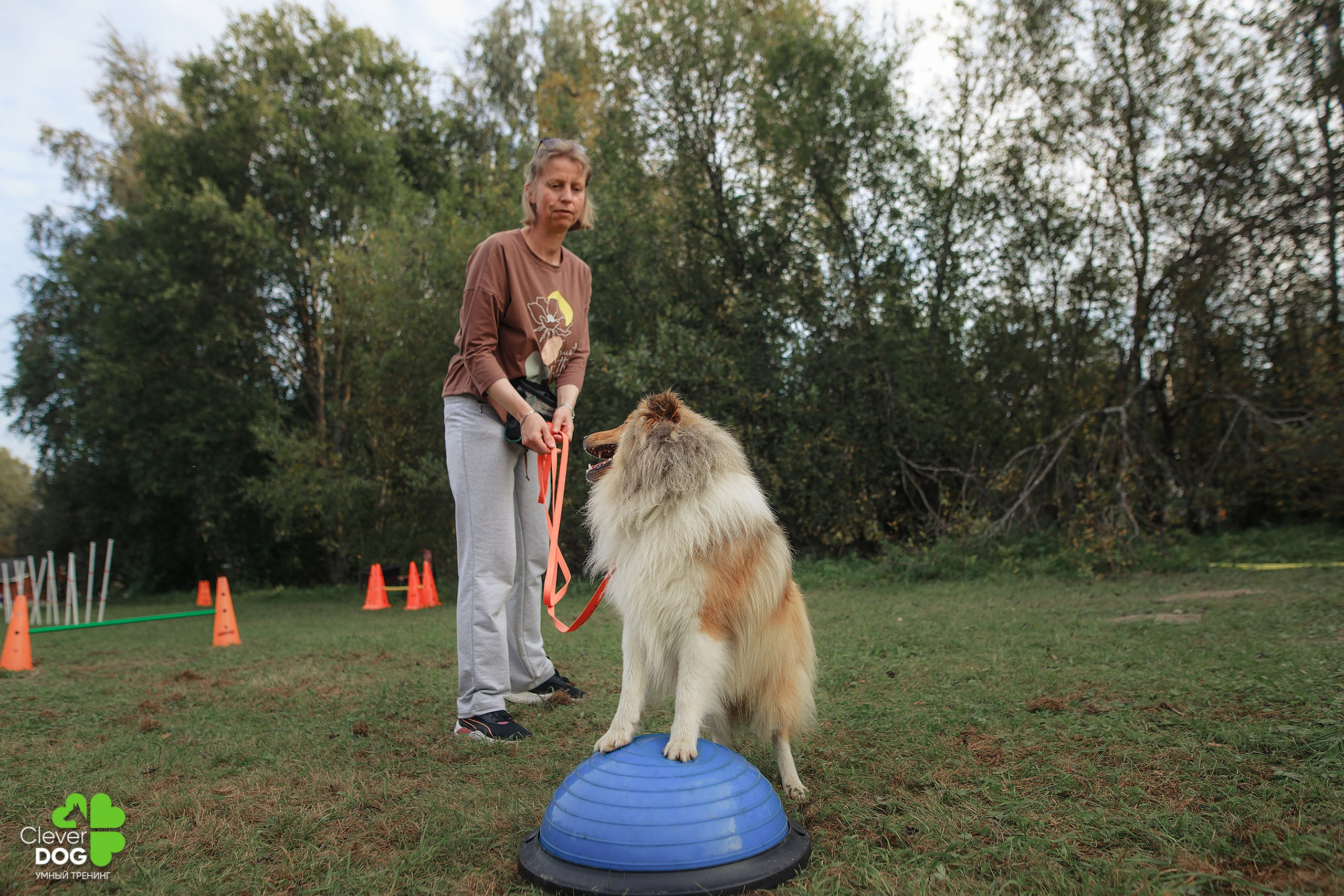 Кинологический лагерь CleverDog, 2024. Фотограф-анималист Mary Mart — Москва, Питер