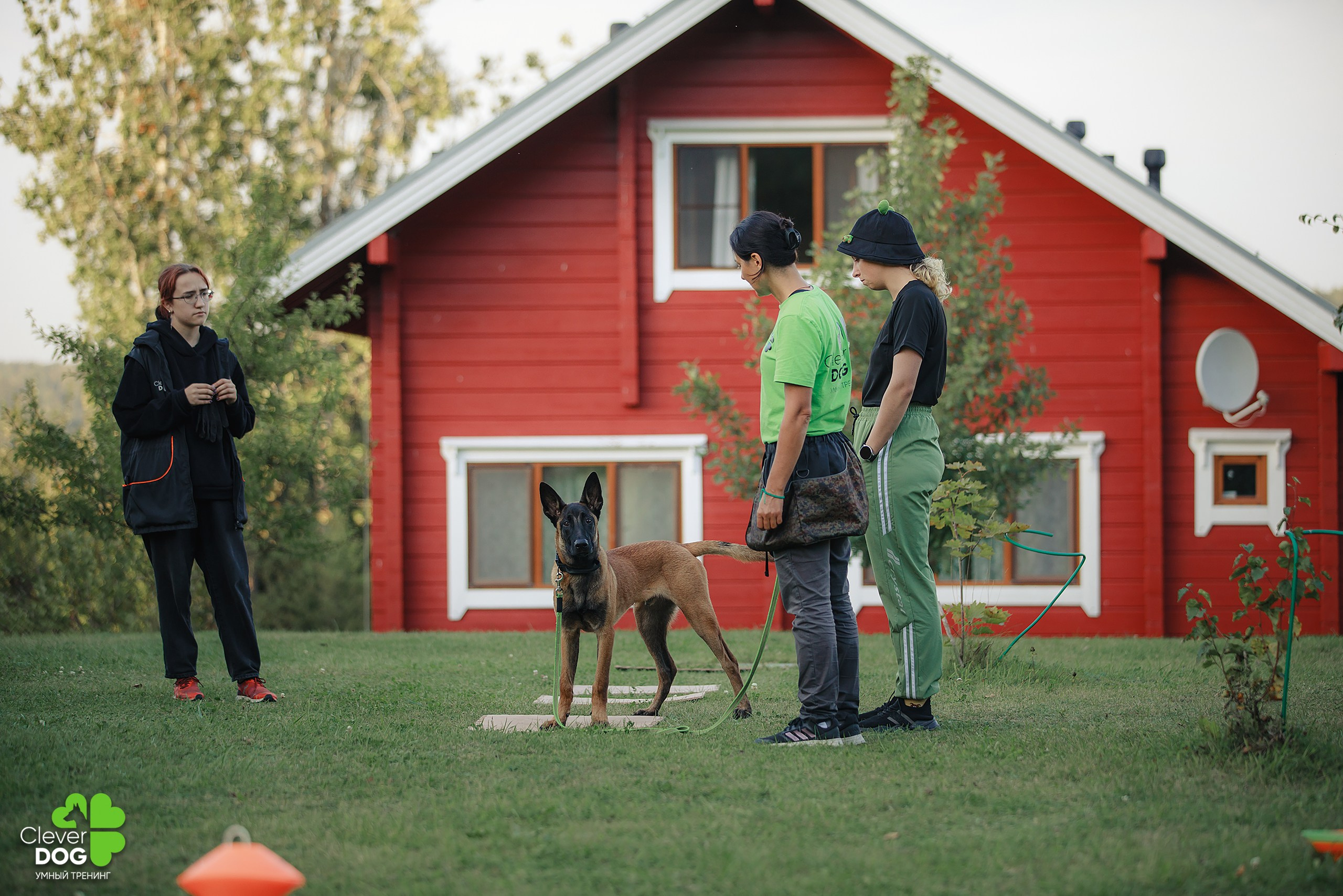 Кинологический лагерь CleverDog, 2024. Фотограф-анималист Mary Mart — Москва, Питер