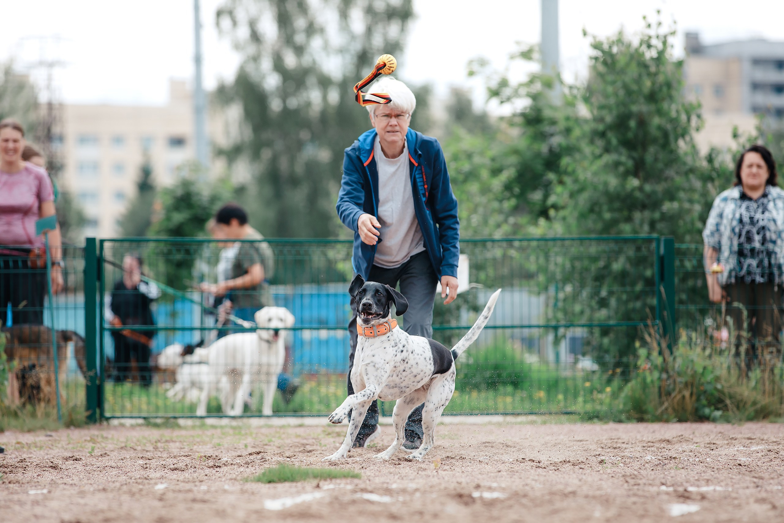 Питч&Гоу + веселые старты. Фотограф-анималист Mary Mart — Москва, Питер