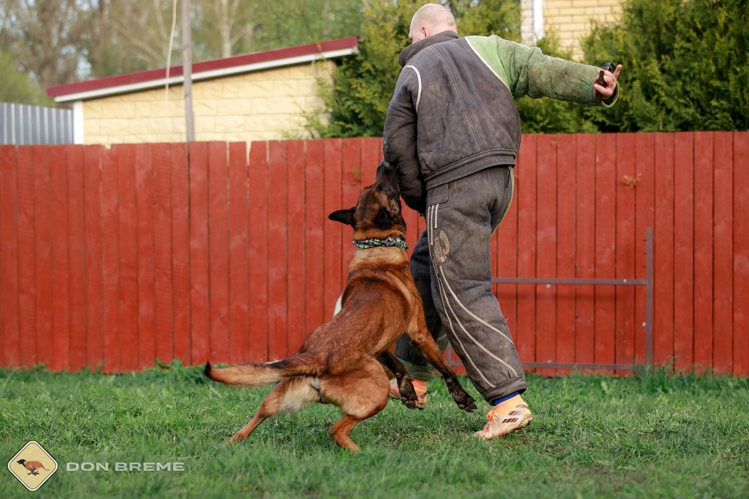 Семинар для фигурантов, день 2. Фотограф-анималист Mary Mart — Москва, Питер