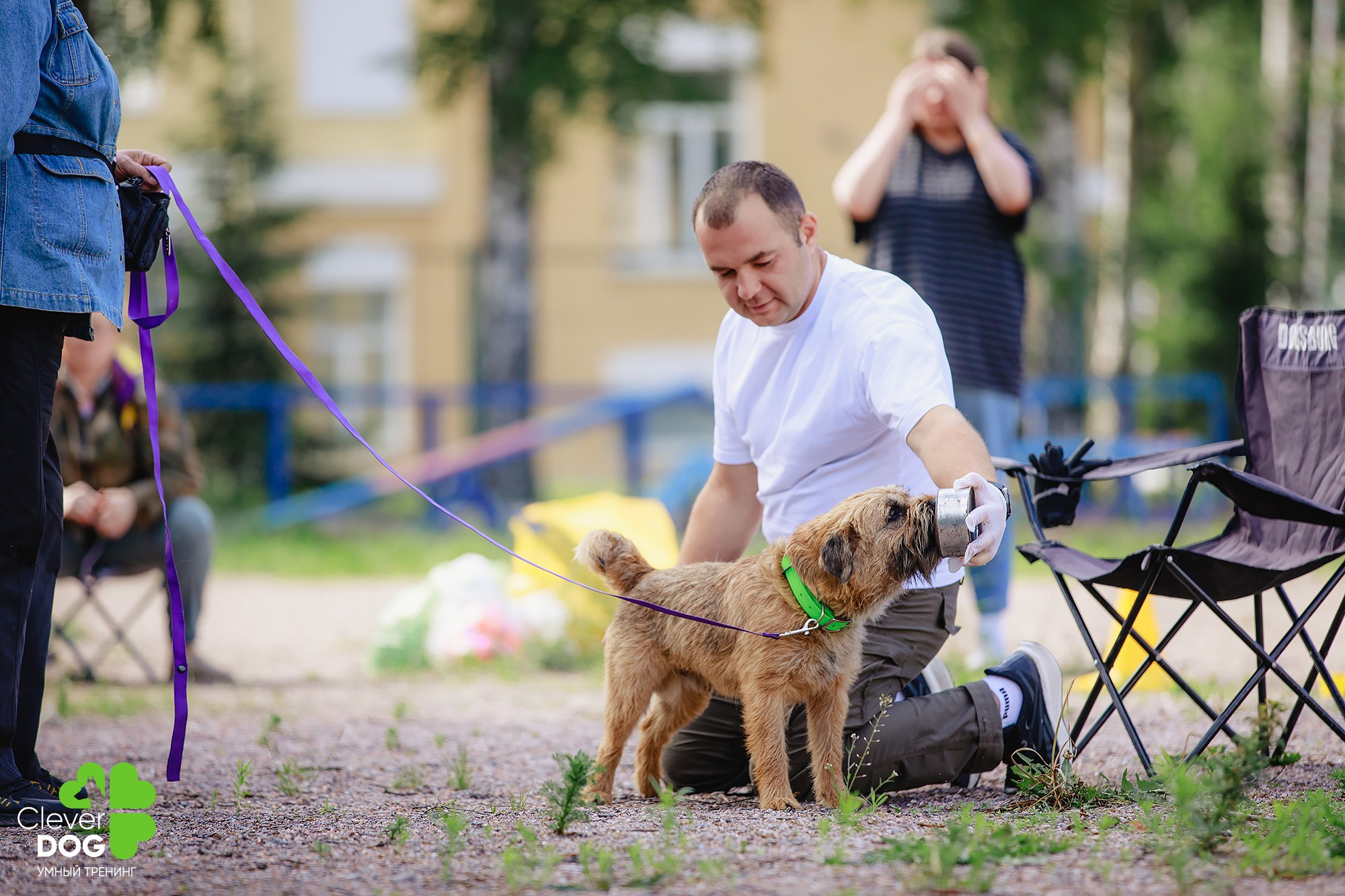 Семинар по поиску запаха с Иваном Ломовым, организатор CleverDog, СПб. Фотограф-анималист Mary Mart — Москва, Питер