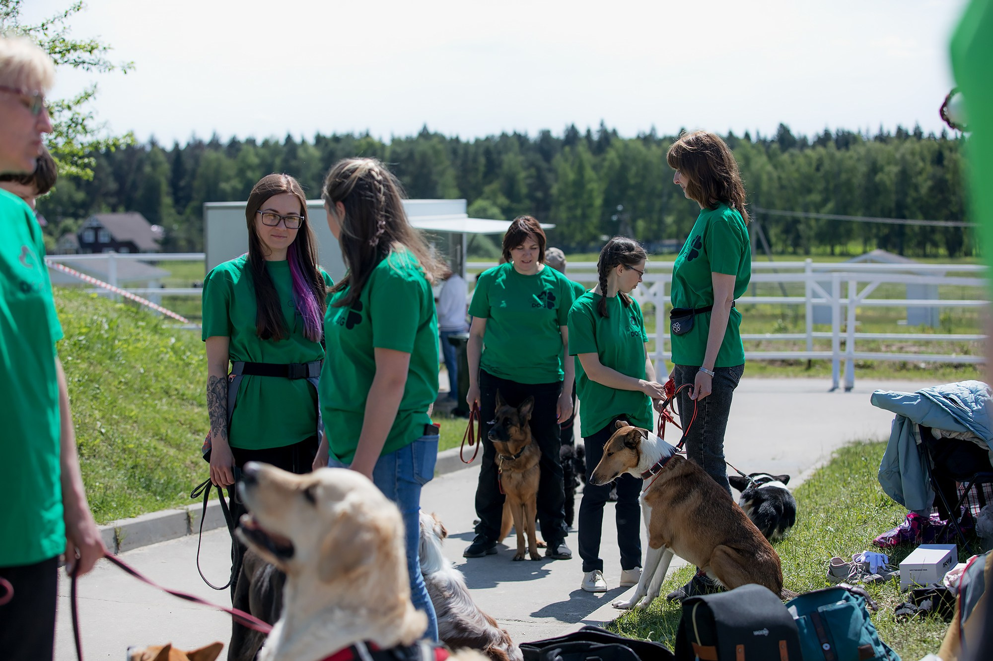 Показательные выступления по NoseWork на выставке «Россия». Фотограф-анималист Mary Mart — Москва, Питер