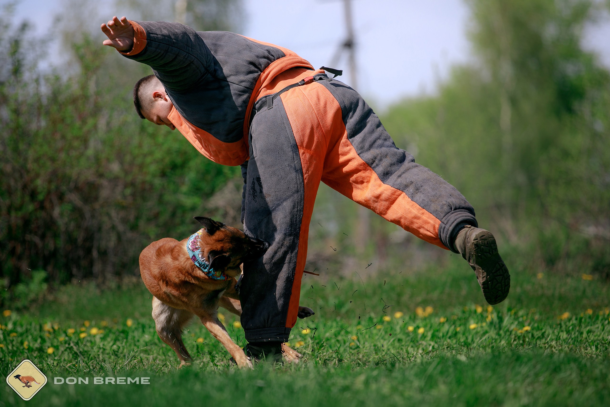 Семинар для фигурантов, день 4. Фотограф-анималист Mary Mart — Москва, Питер