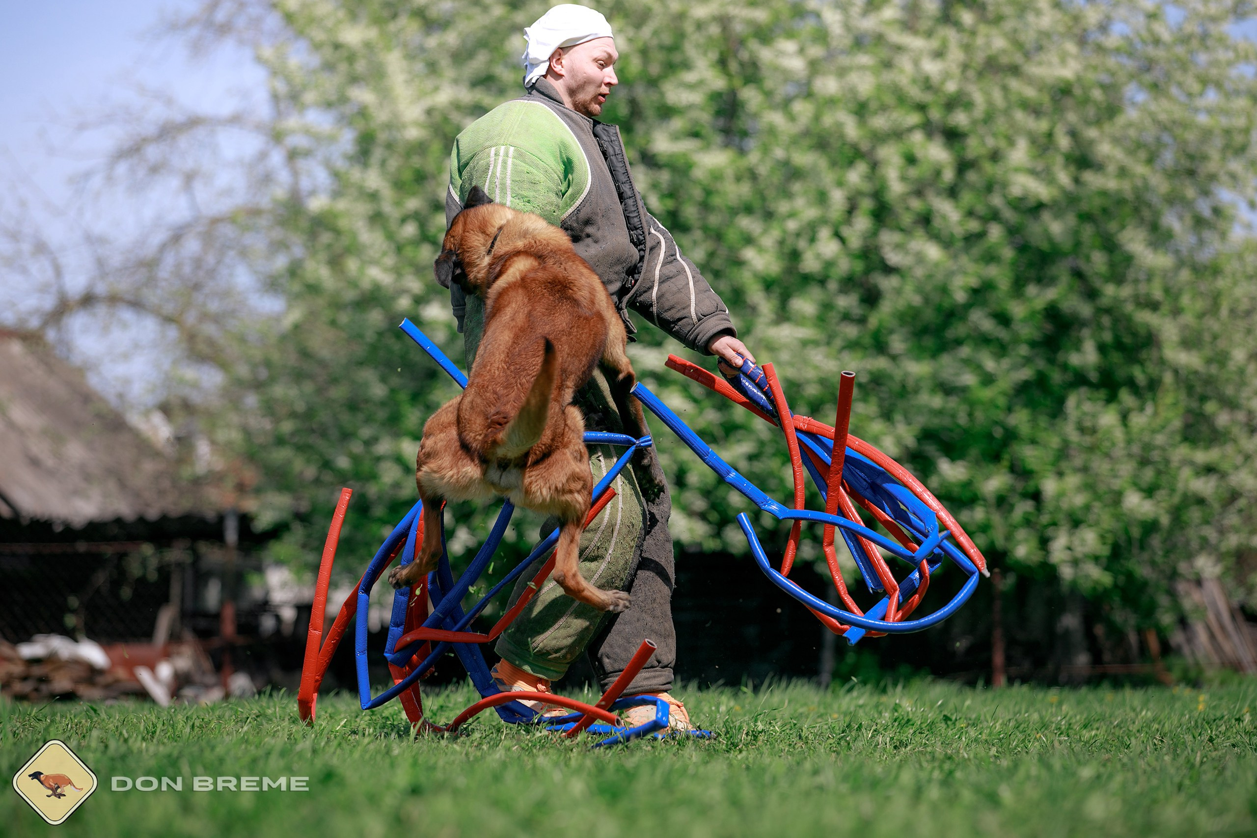 Семинар для фигурантов, день 4. Фотограф-анималист Mary Mart — Москва, Питер