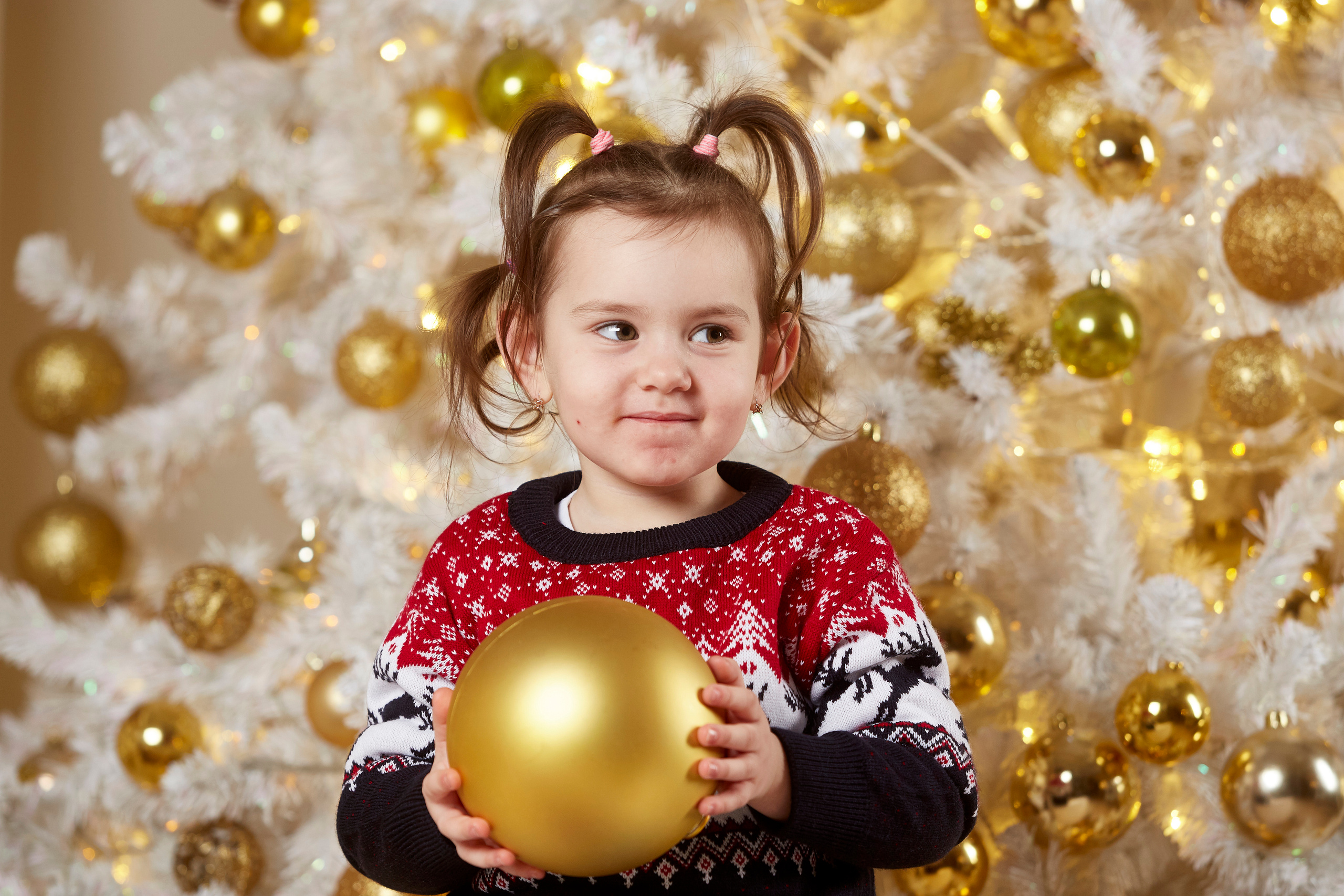 Новогодняя фотосессия в студии. Свадебный фотограф Москва и Московская область Борисов Сергей