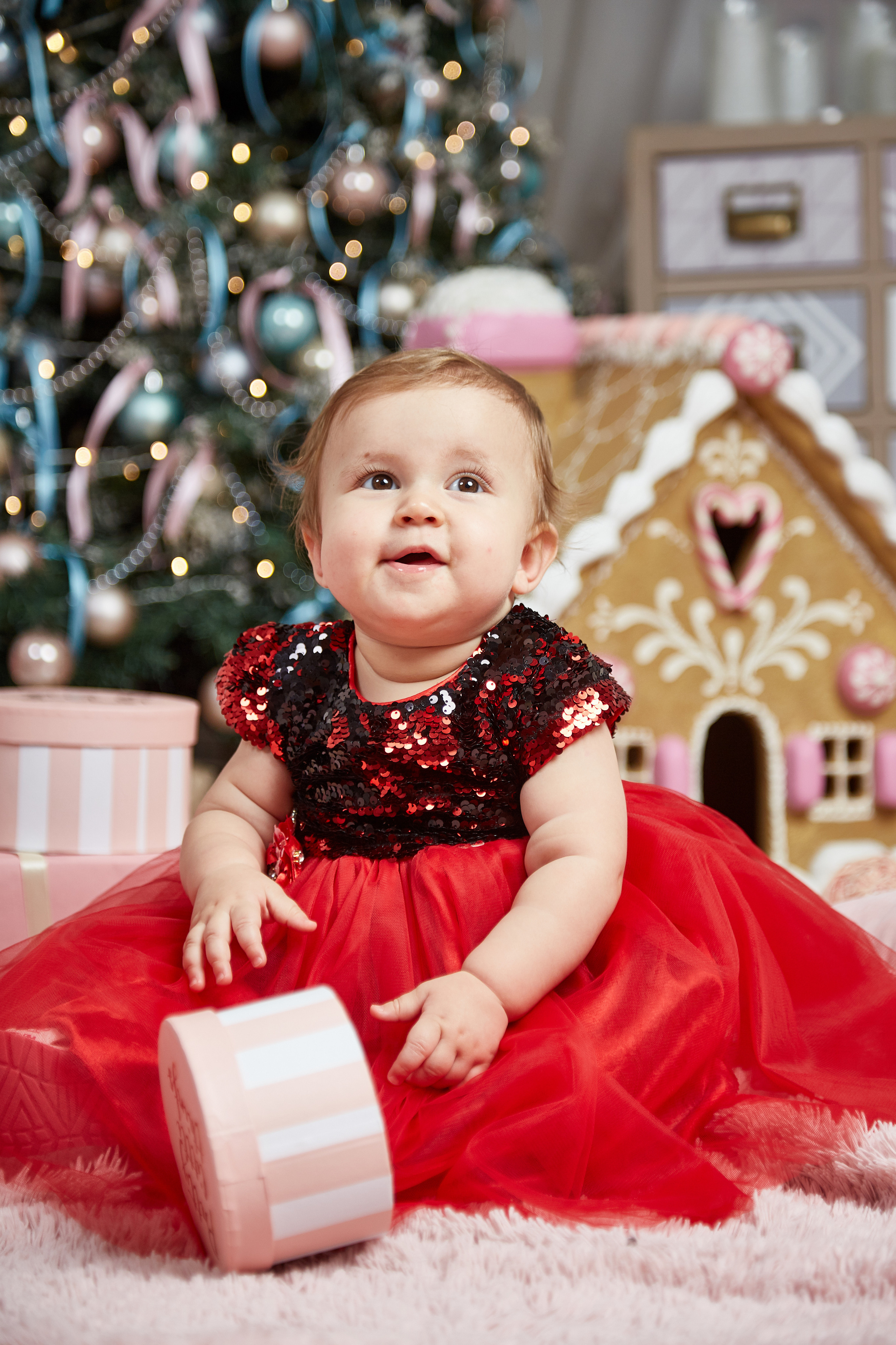 Новый год. Фотостудия. Семейная фотография. Свадебный фотограф Москва и Московская область Борисов Сергей