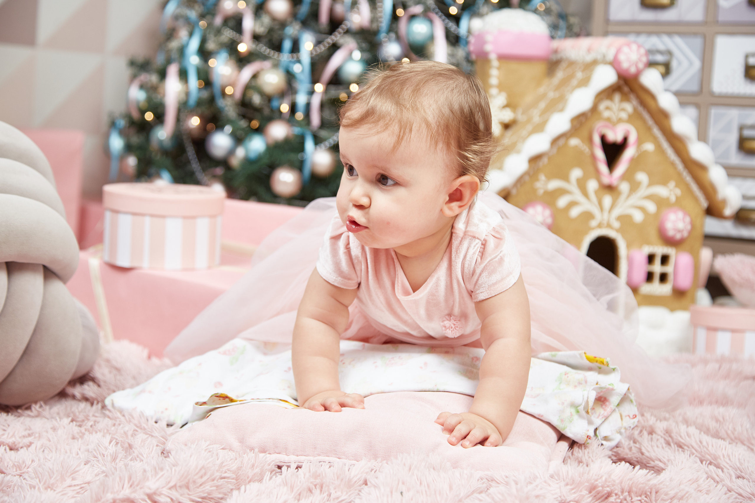 Новый год. Фотостудия. Семейная фотография. Свадебный фотограф Москва и Московская область Борисов Сергей