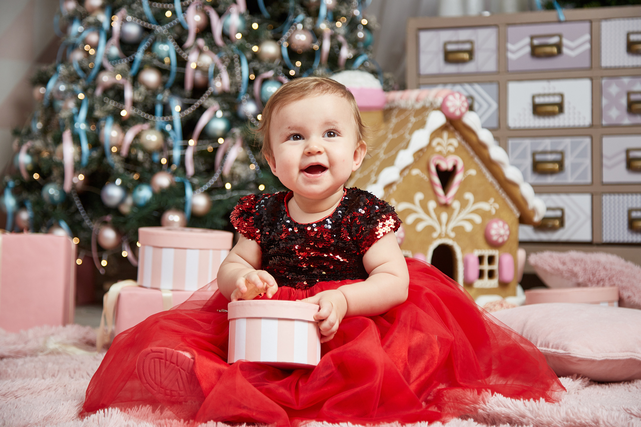 Новый год. Фотостудия. Семейная фотография. Свадебный фотограф Москва и Московская область Борисов Сергей