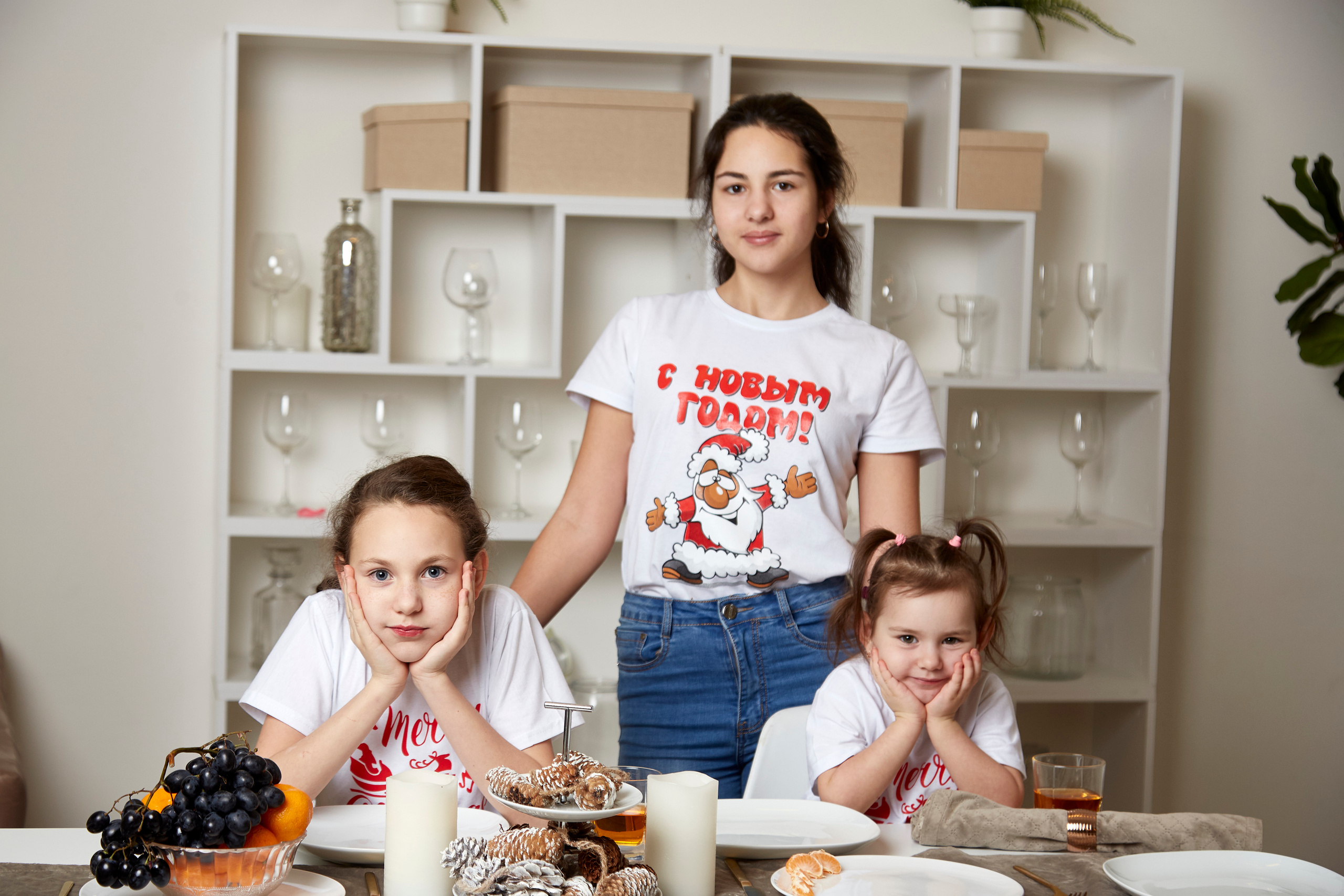 Новогодняя фотосессия в студии. Свадебный фотограф Москва и Московская область Борисов Сергей