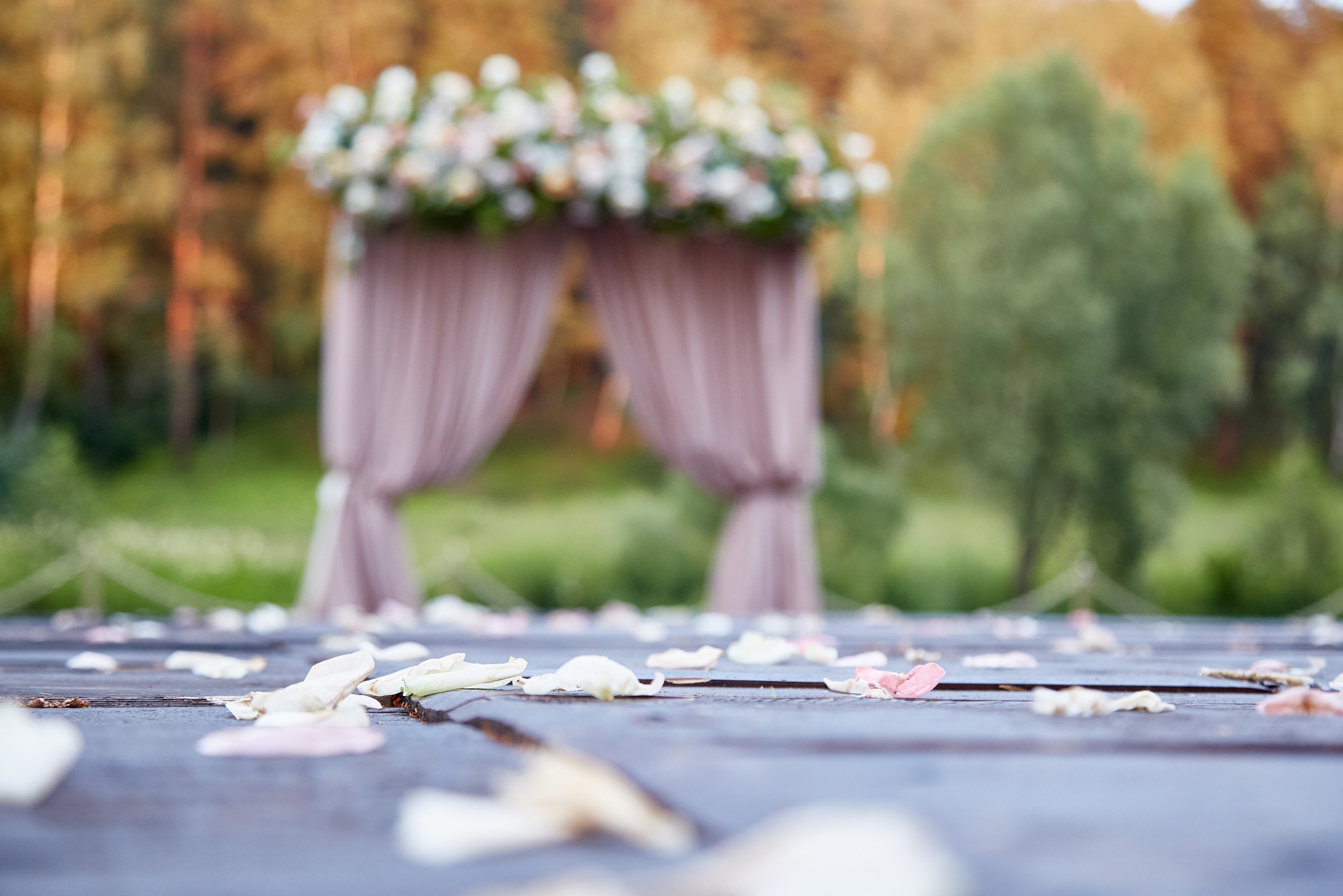 Дарина и Руслан. Свадебный фотограф Москва и Московская область Борисов Сергей