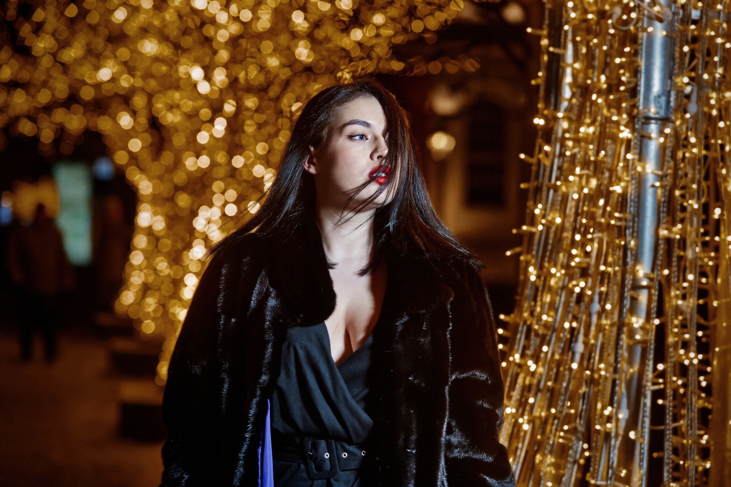 Студия. Свадебный фотограф Москва и Московская область Борисов Сергей