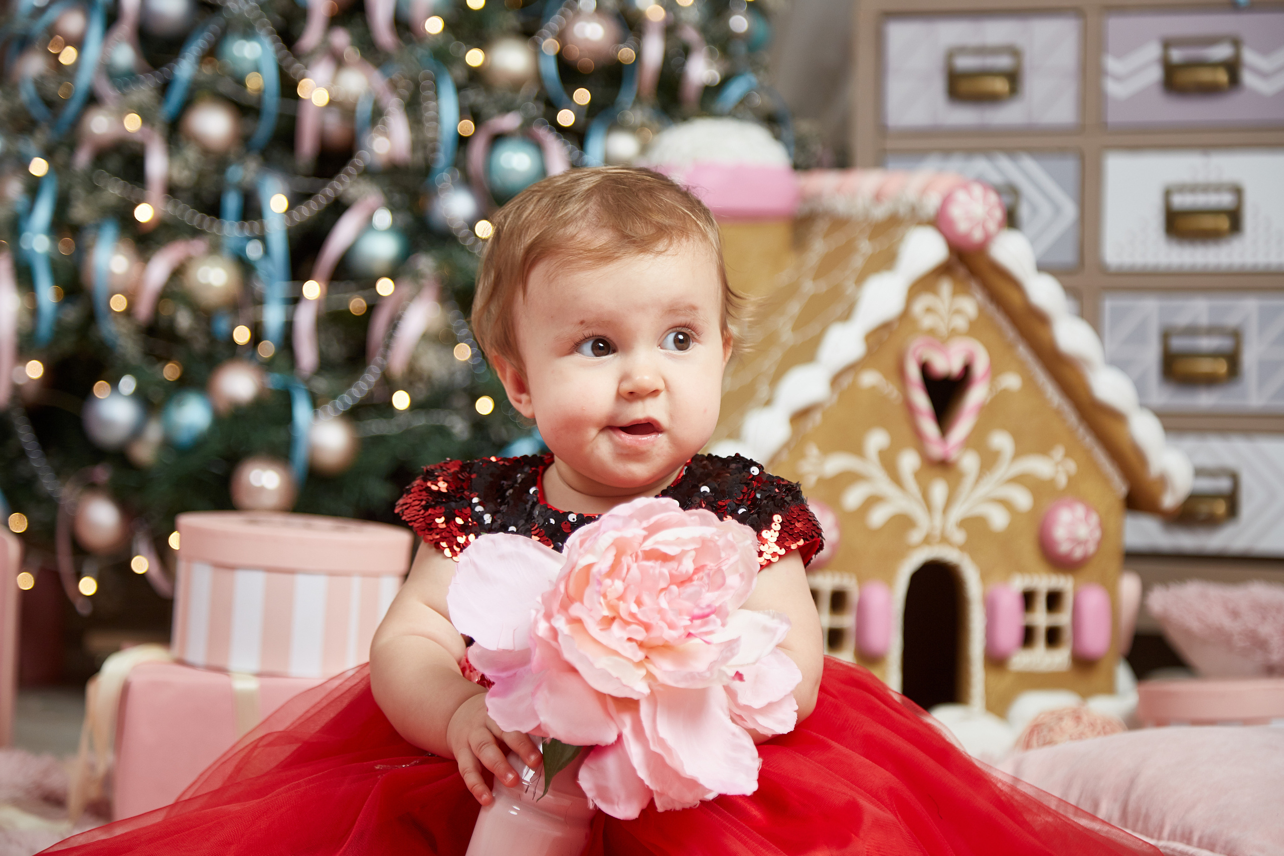 Новый год. Фотостудия. Семейная фотография. Свадебный фотограф Москва и Московская область Борисов Сергей