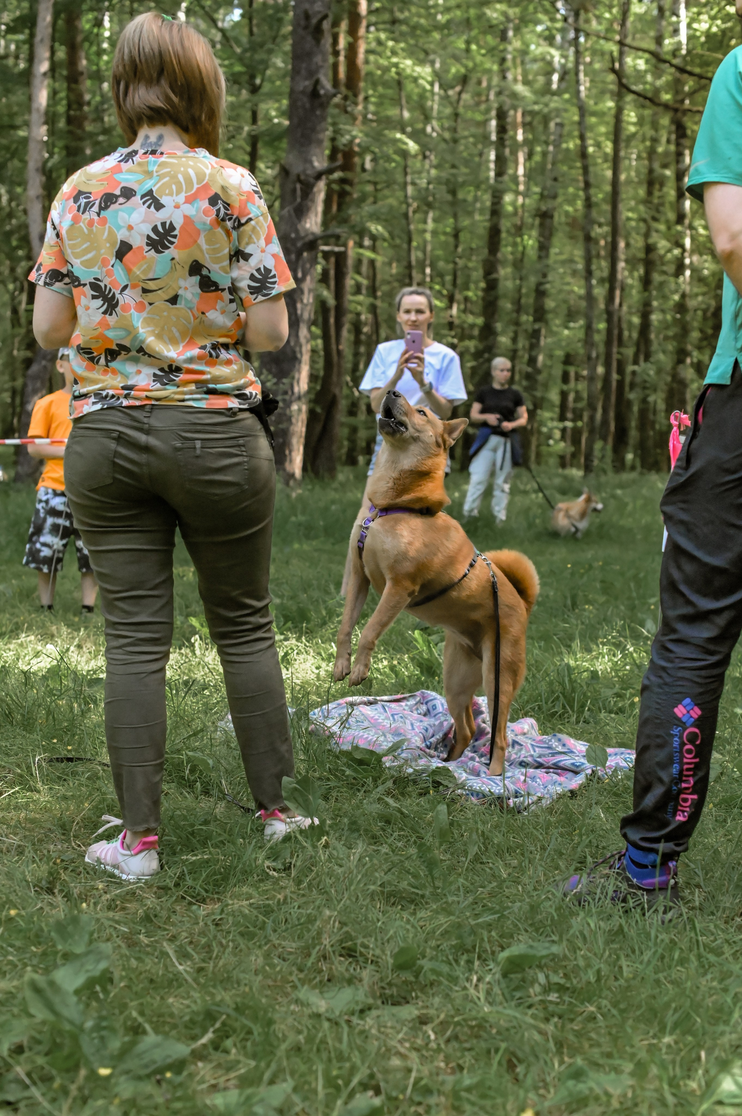 Кинологические соревнования. Семейный и репортажный фотограф в Москве Анастасия Трубкина
