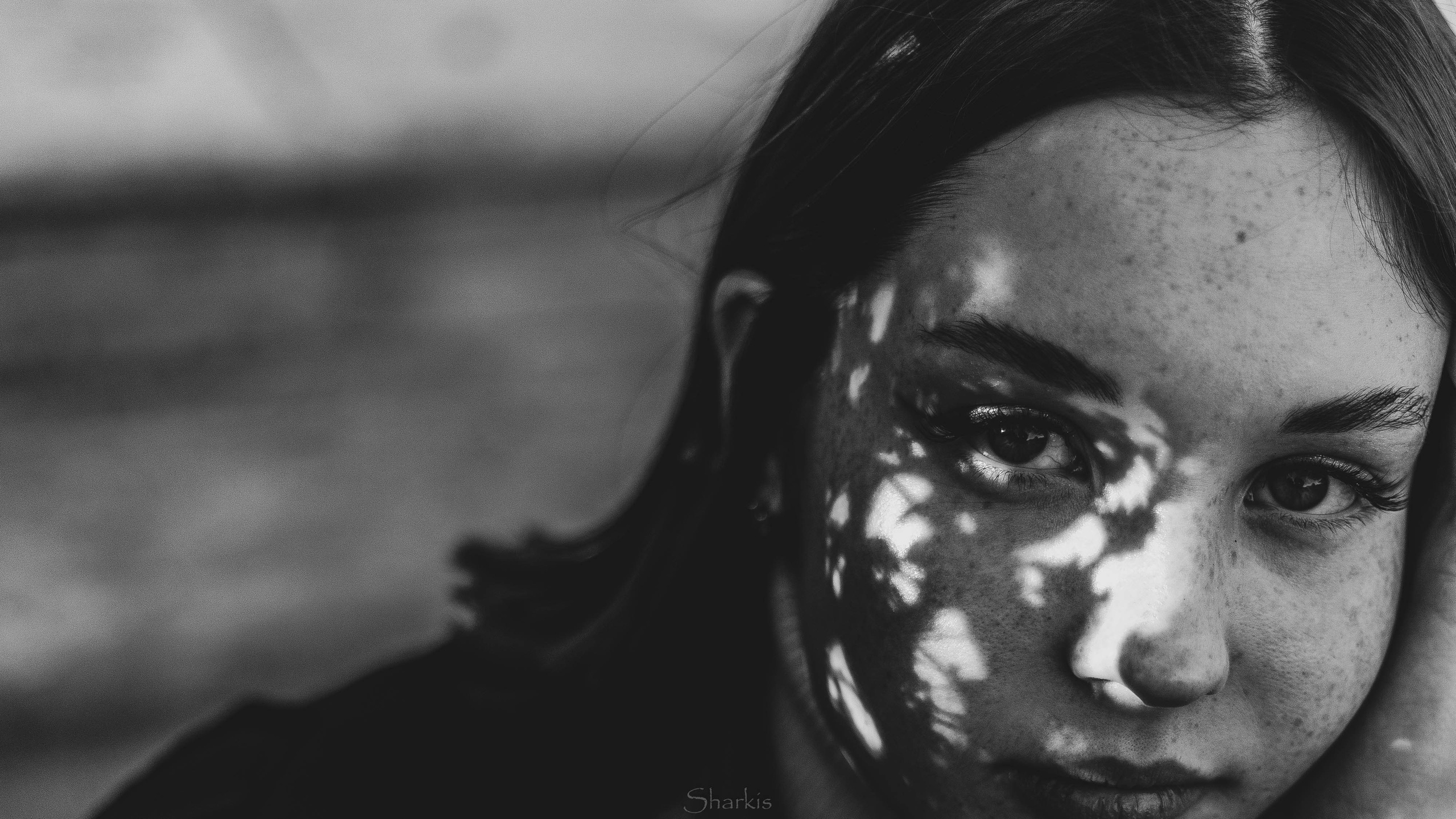 Света. Главная