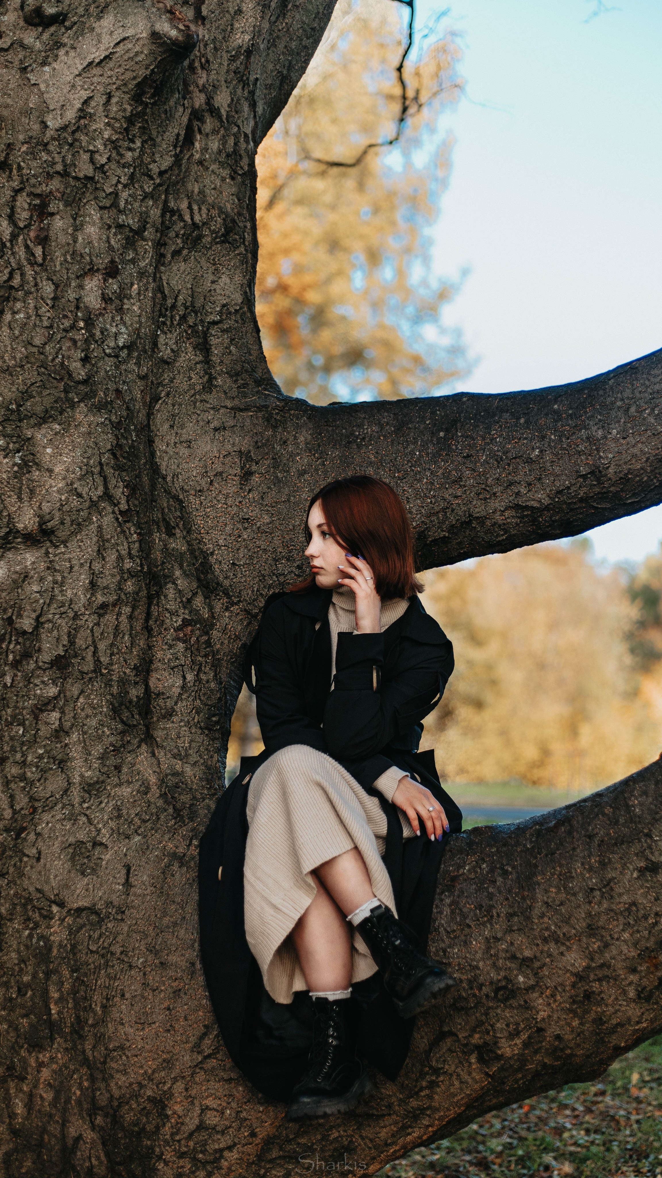 Света. Главная