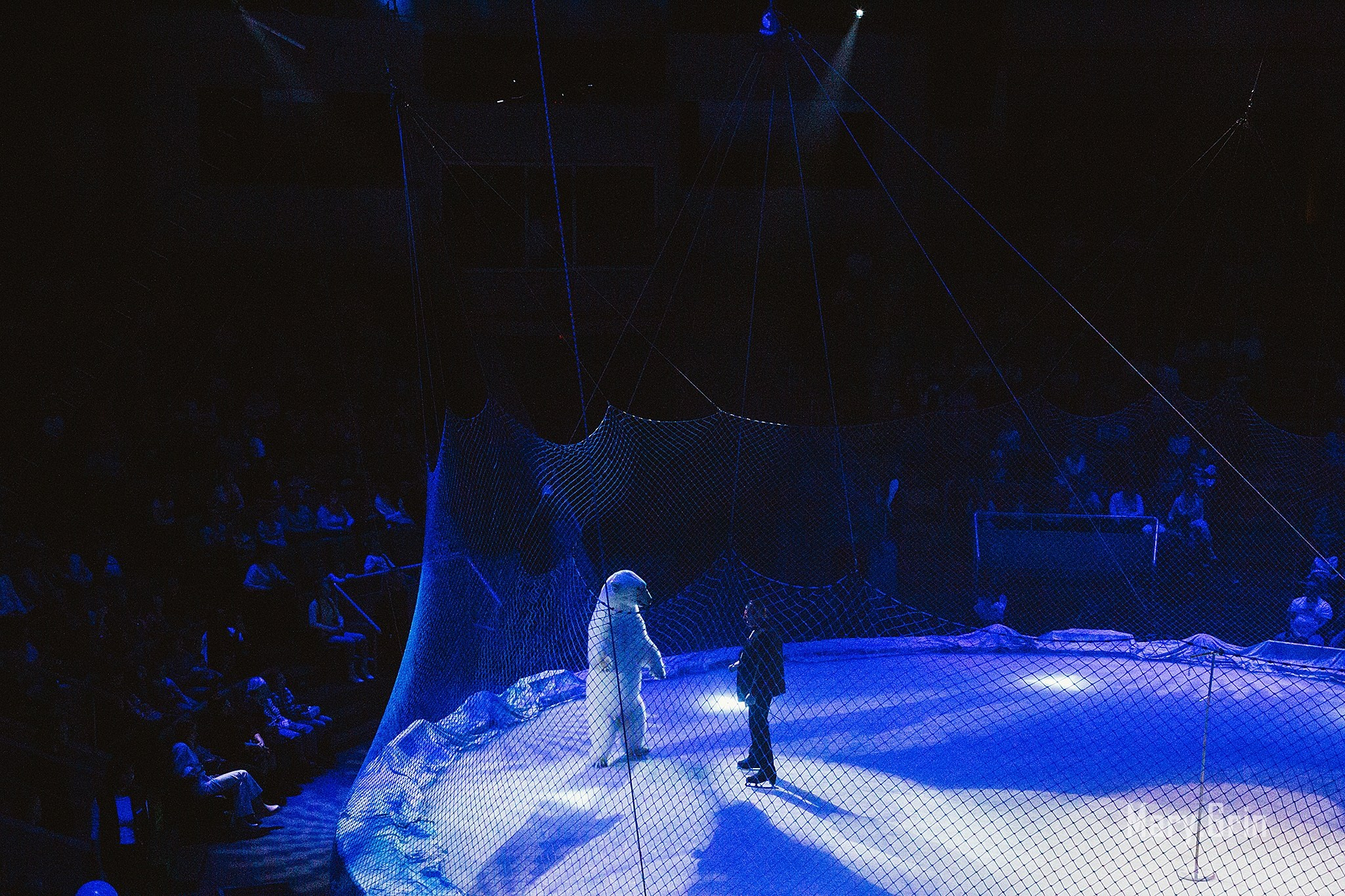 Цирк на льду. Айсберг с белыми медведями. Детский и семейный фотограф, фотограф мероприятий Нижний Новгород