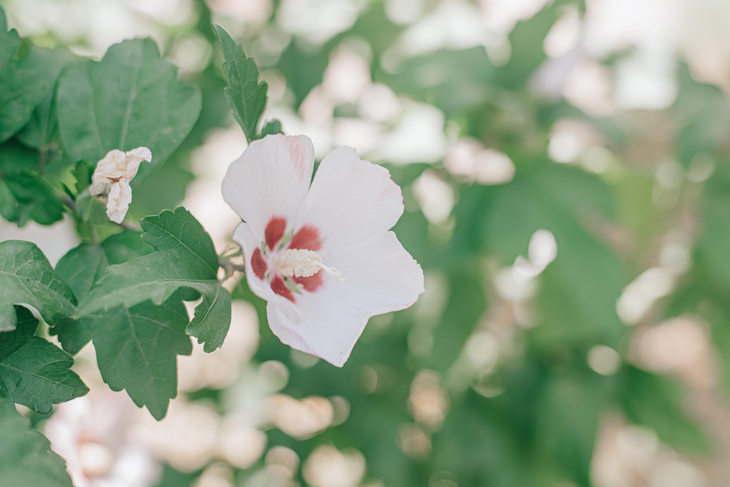 Андрей, Настя и Полинка. Фотограф в Краснодаре Зеленкина Дарья