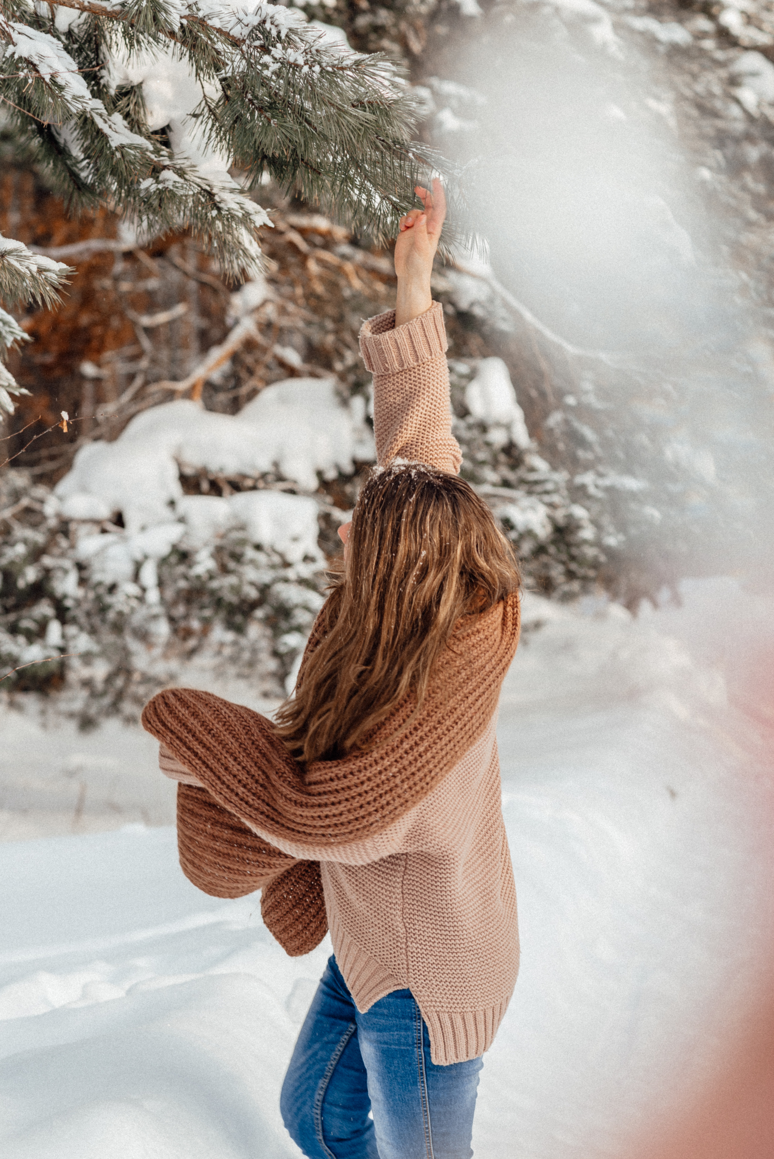 Катерина лес. Володарск. Детский и семейный фотограф Катерина Мишина