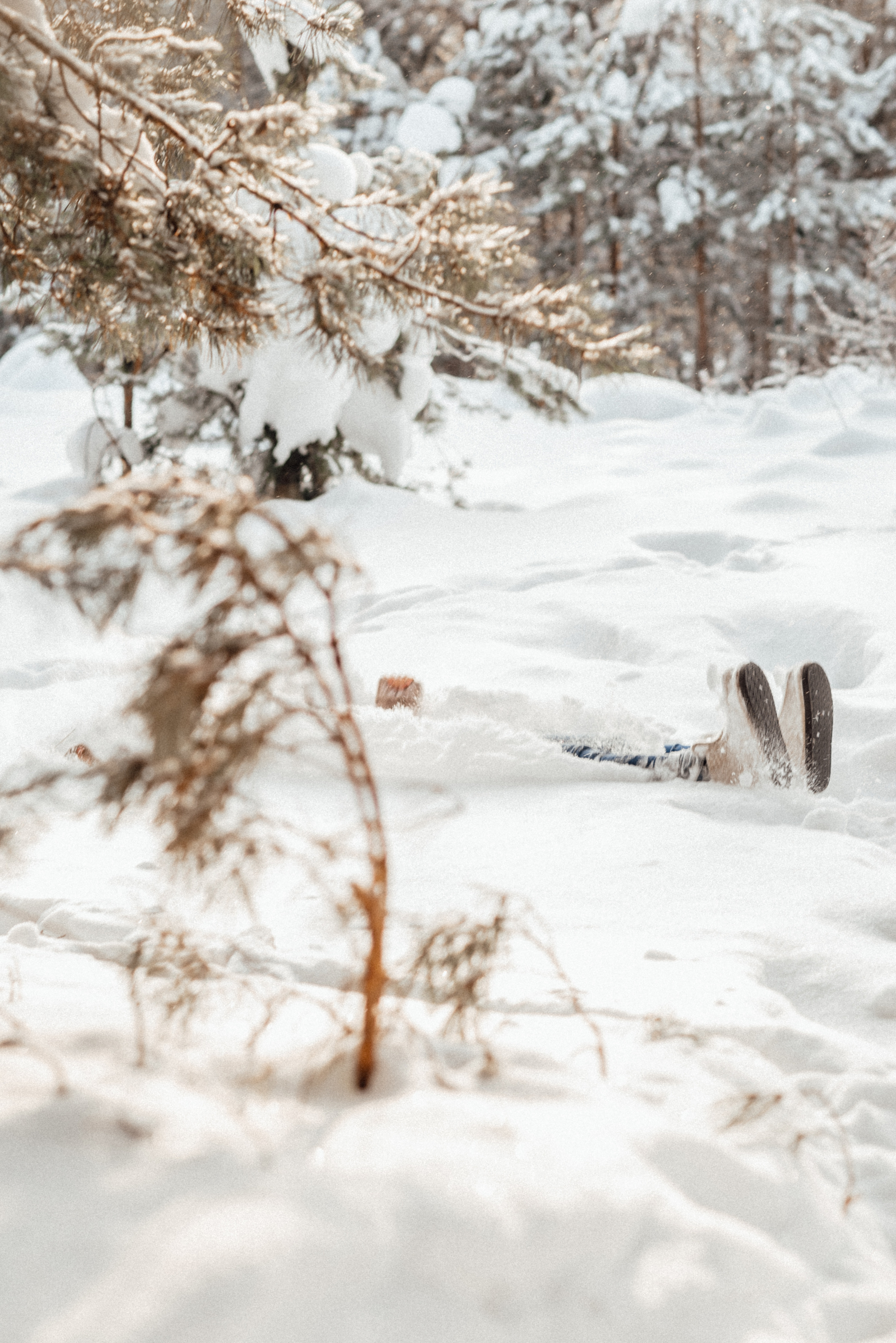 Катерина лес. Володарск. Детский и семейный фотограф Катерина Мишина