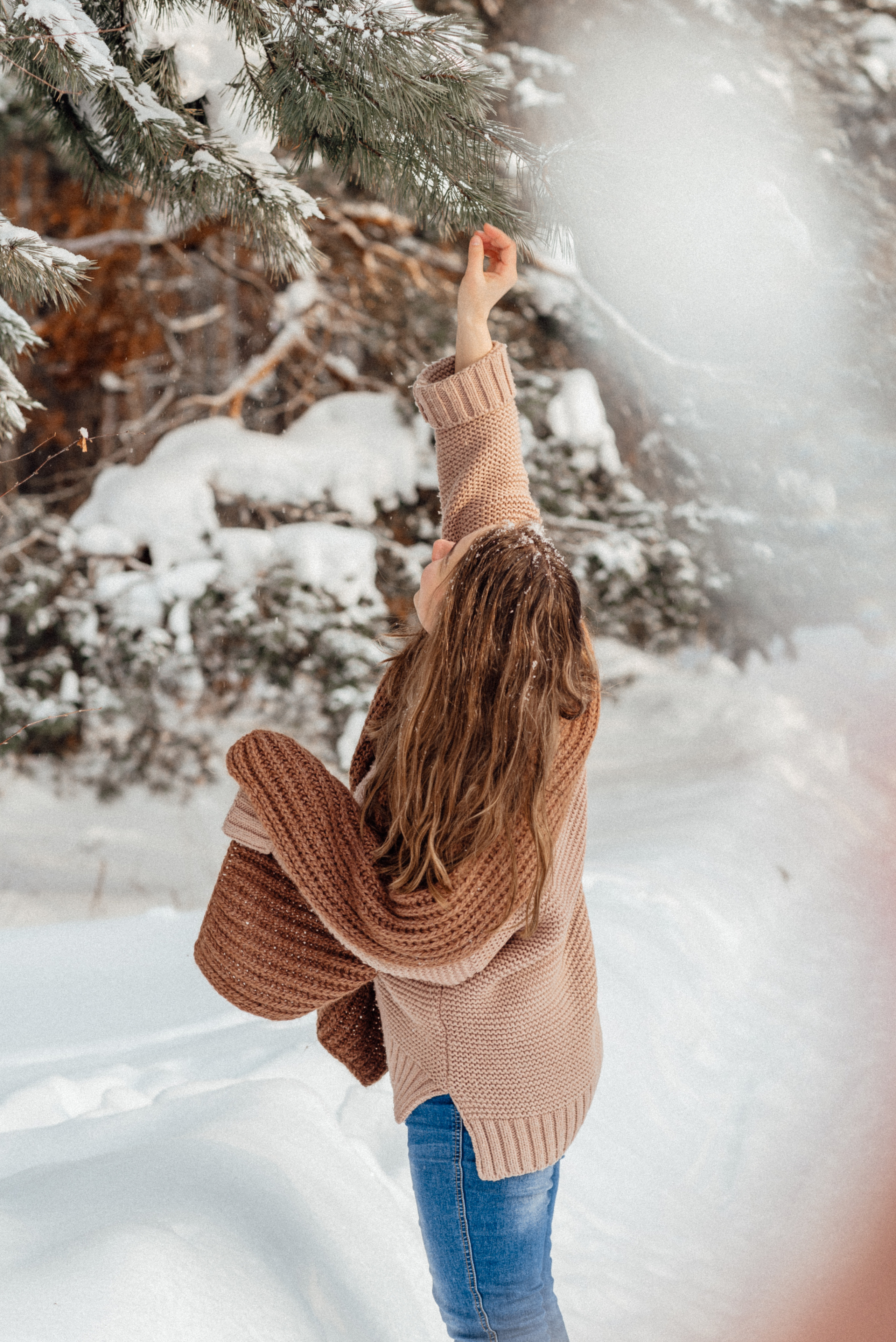 Катерина лес. Володарск. Детский и семейный фотограф Катерина Мишина