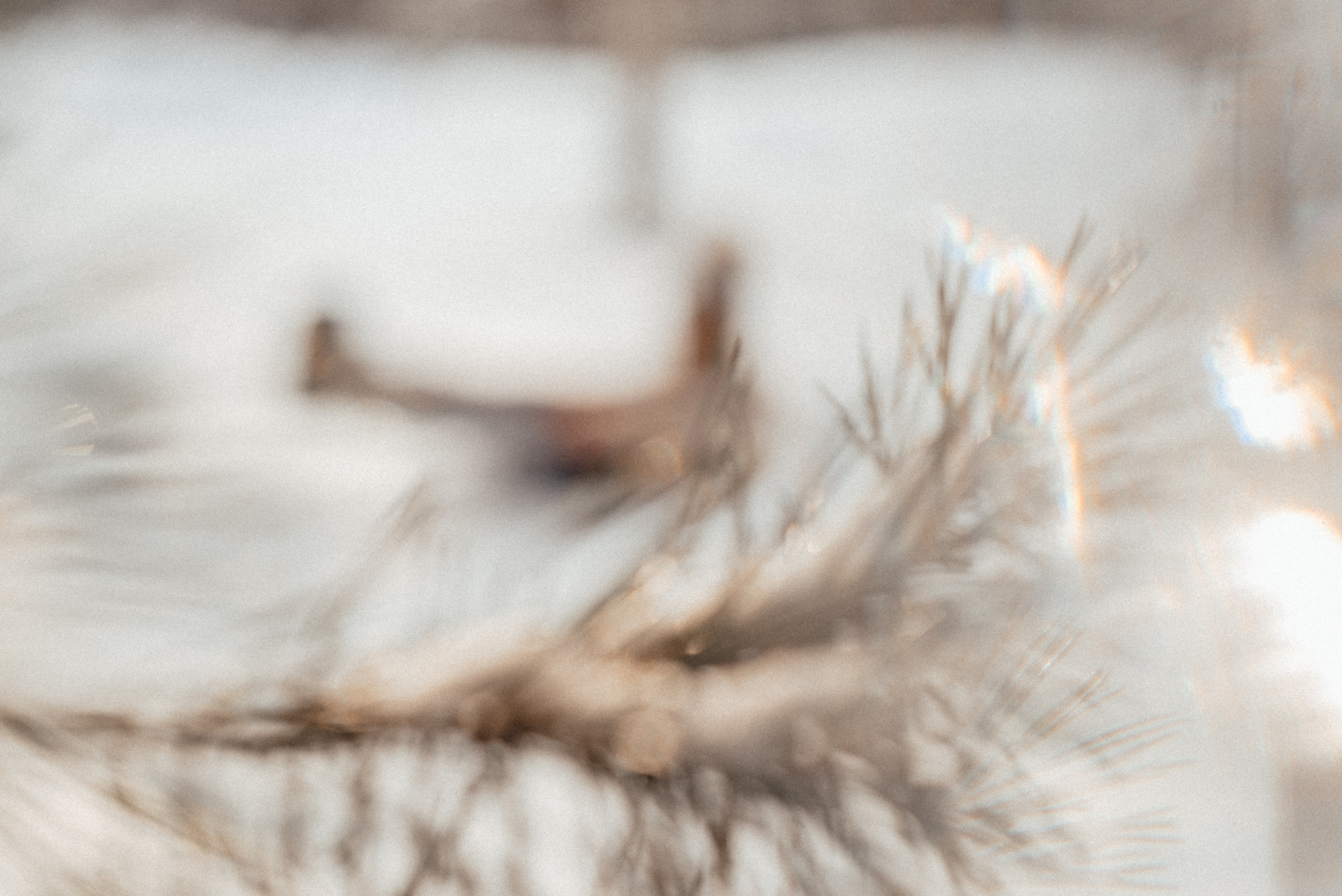 Катерина лес. Володарск. Детский и семейный фотограф Катерина Мишина