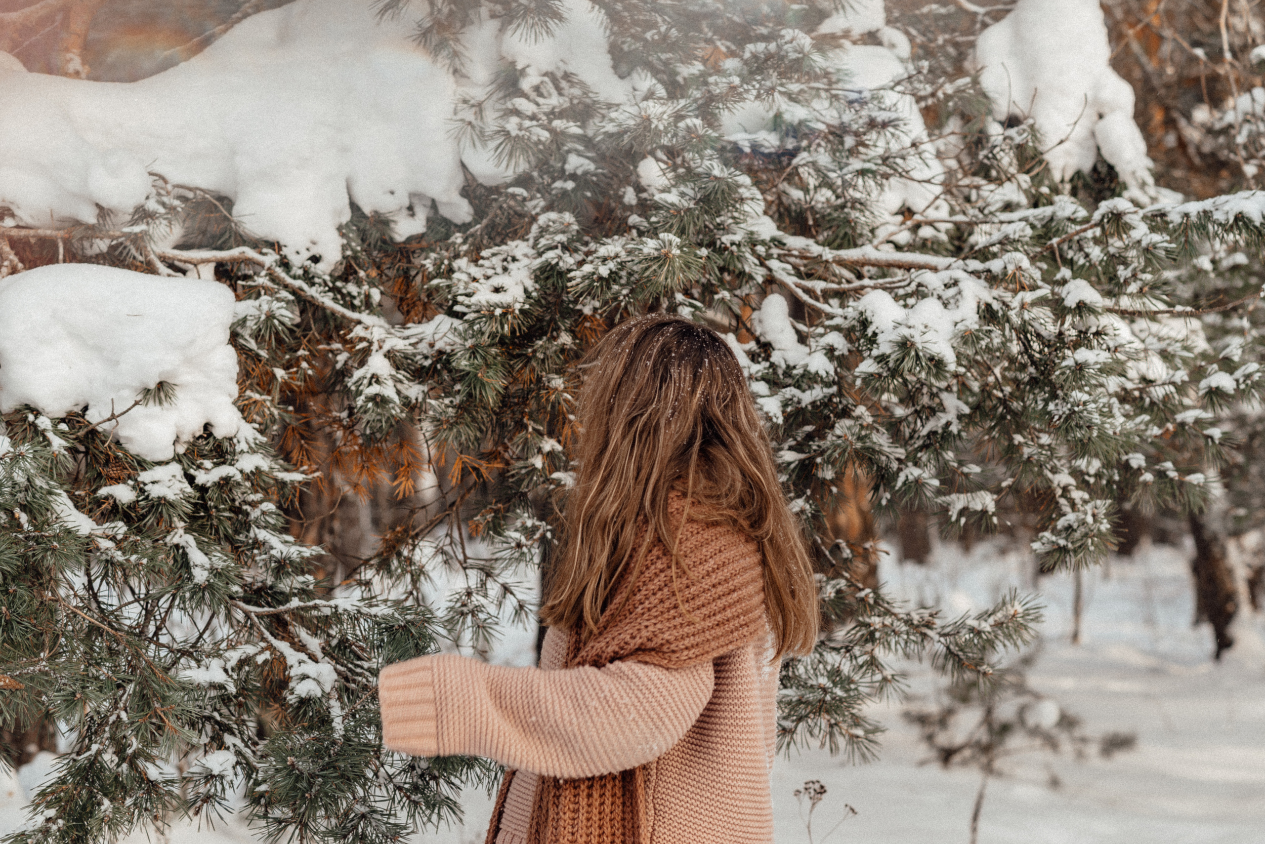 Катерина лес. Володарск. Детский и семейный фотограф Катерина Мишина