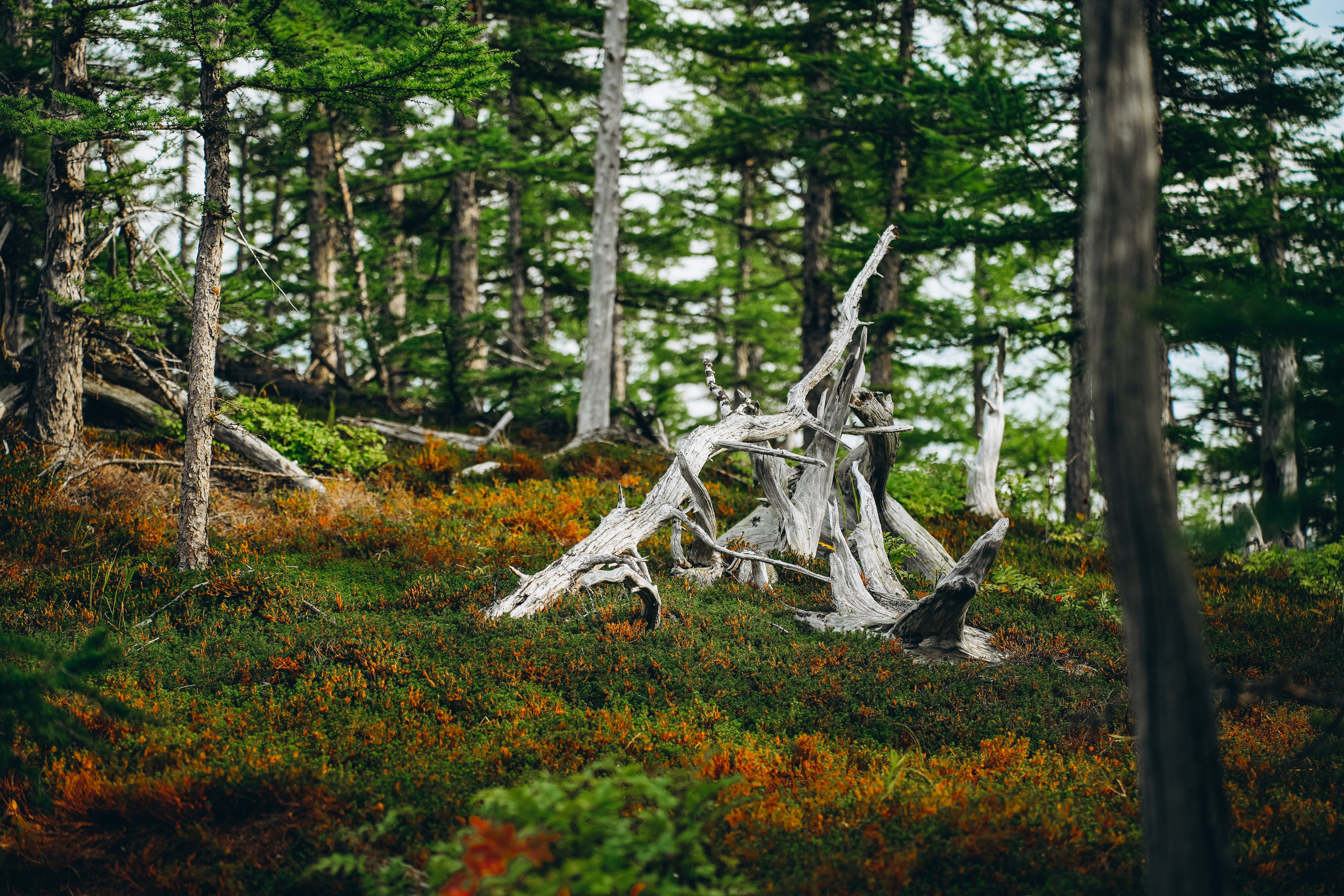 Travel. Николай Филиппов Event & Concert Photographer Москвf