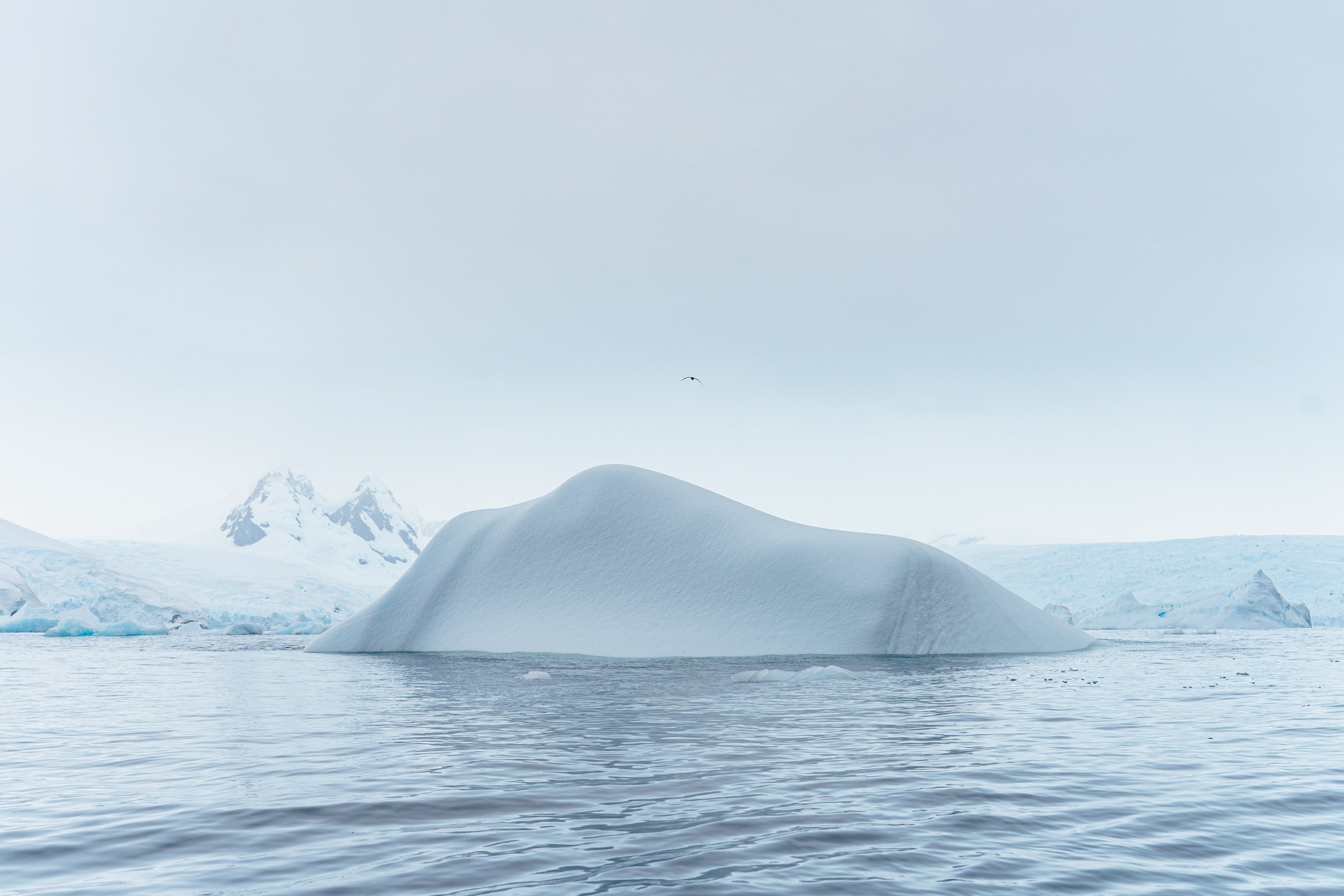 Природа. Медийный светский репортажный фотограф