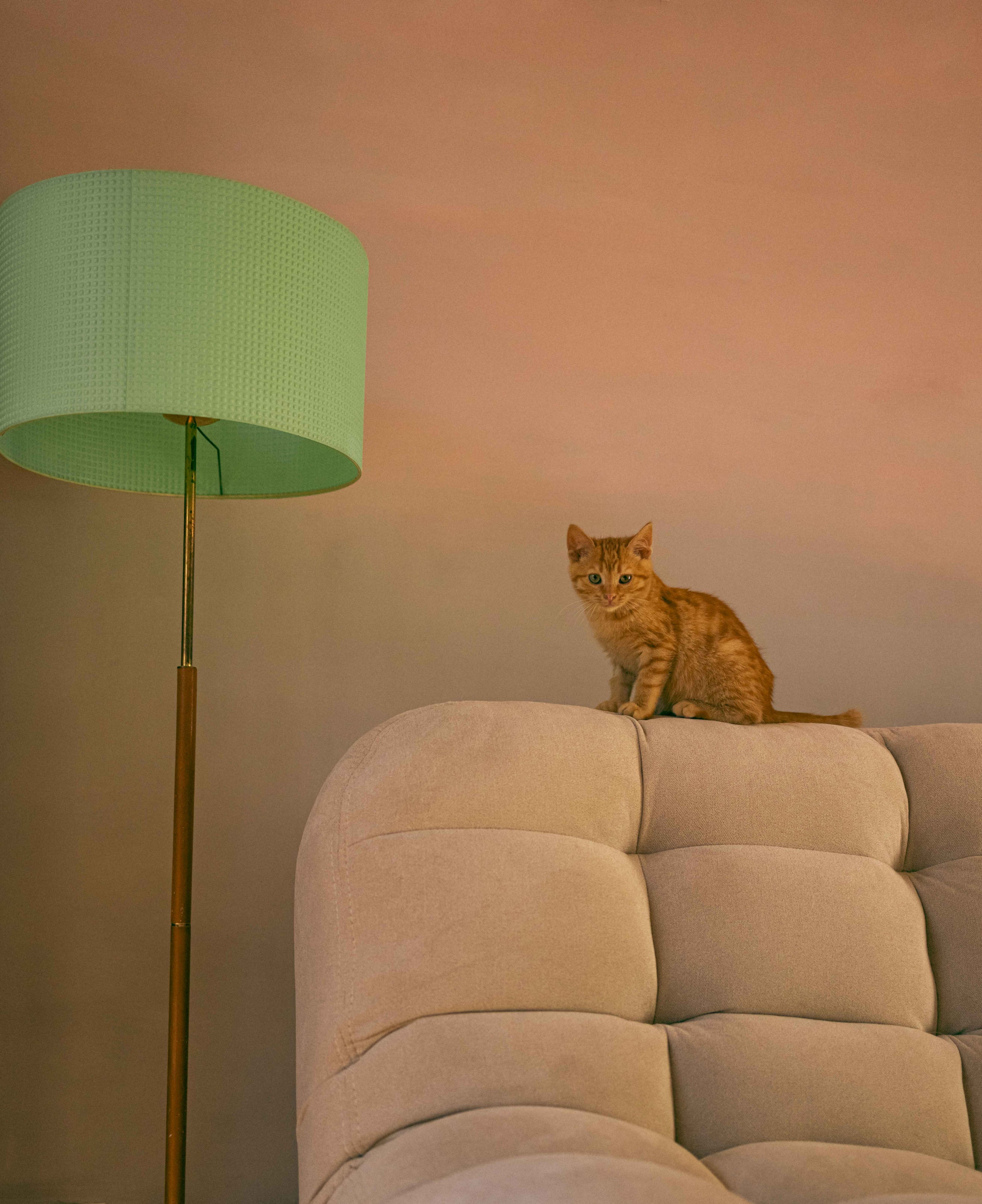 Кускус. Фотограф-анималист в Москве Лера Черноног