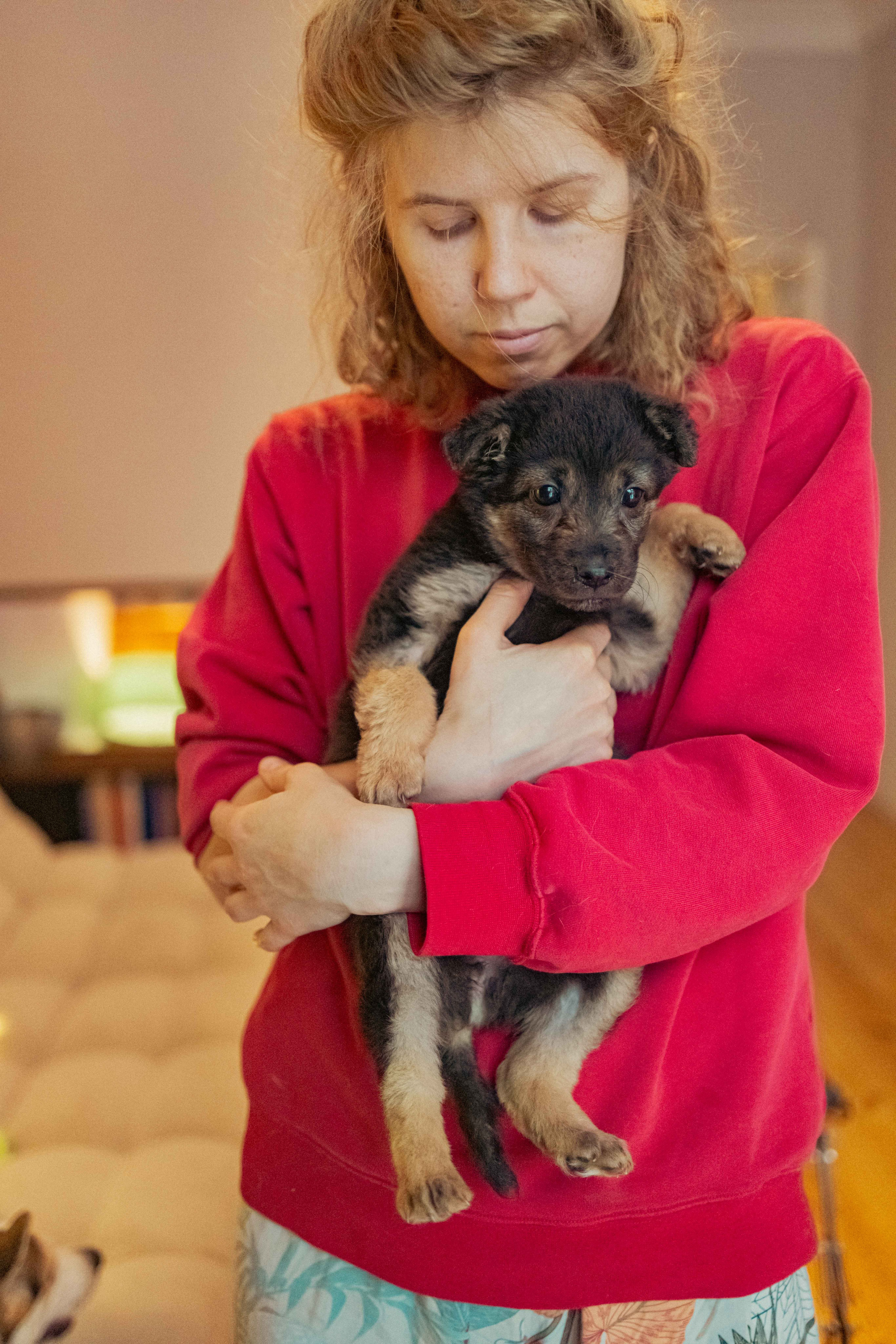 Пеппа. Фотограф-анималист в Москве Лера Черноног