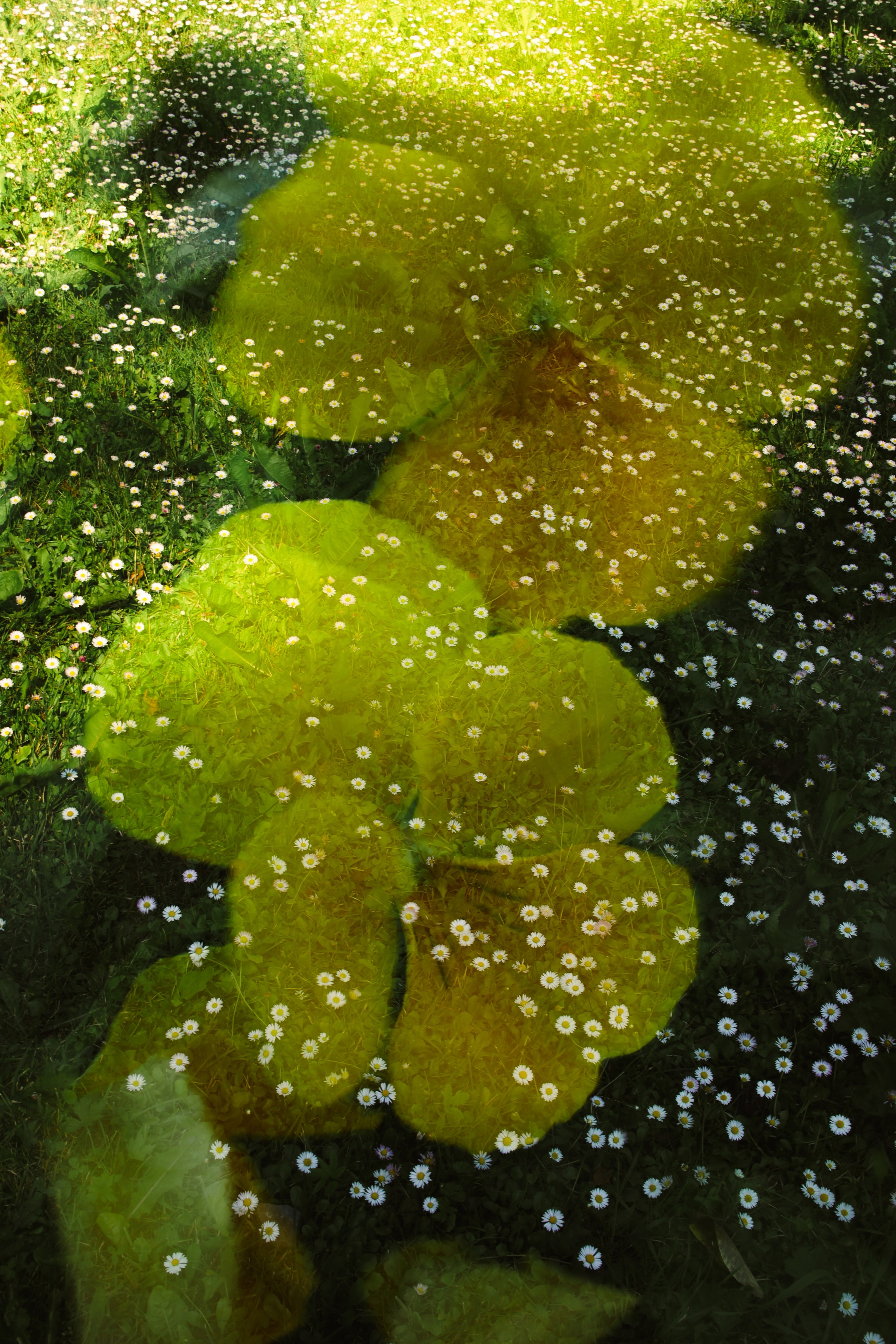 Природа &. Фотохудожник в СПб