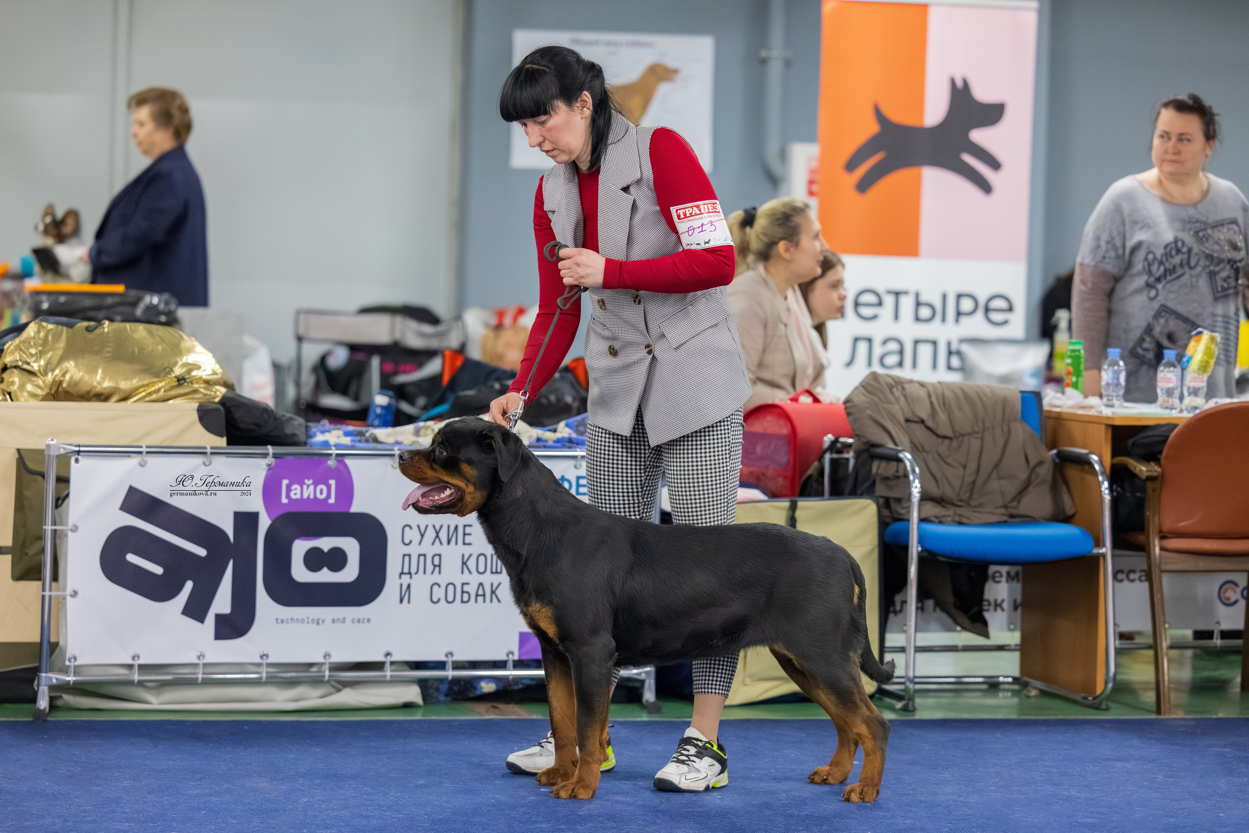 Сфера 08 и 10.03.2024 2хмоно ротвейлеров+2хмоно сао. Фотограф-анималист Юлия Германика