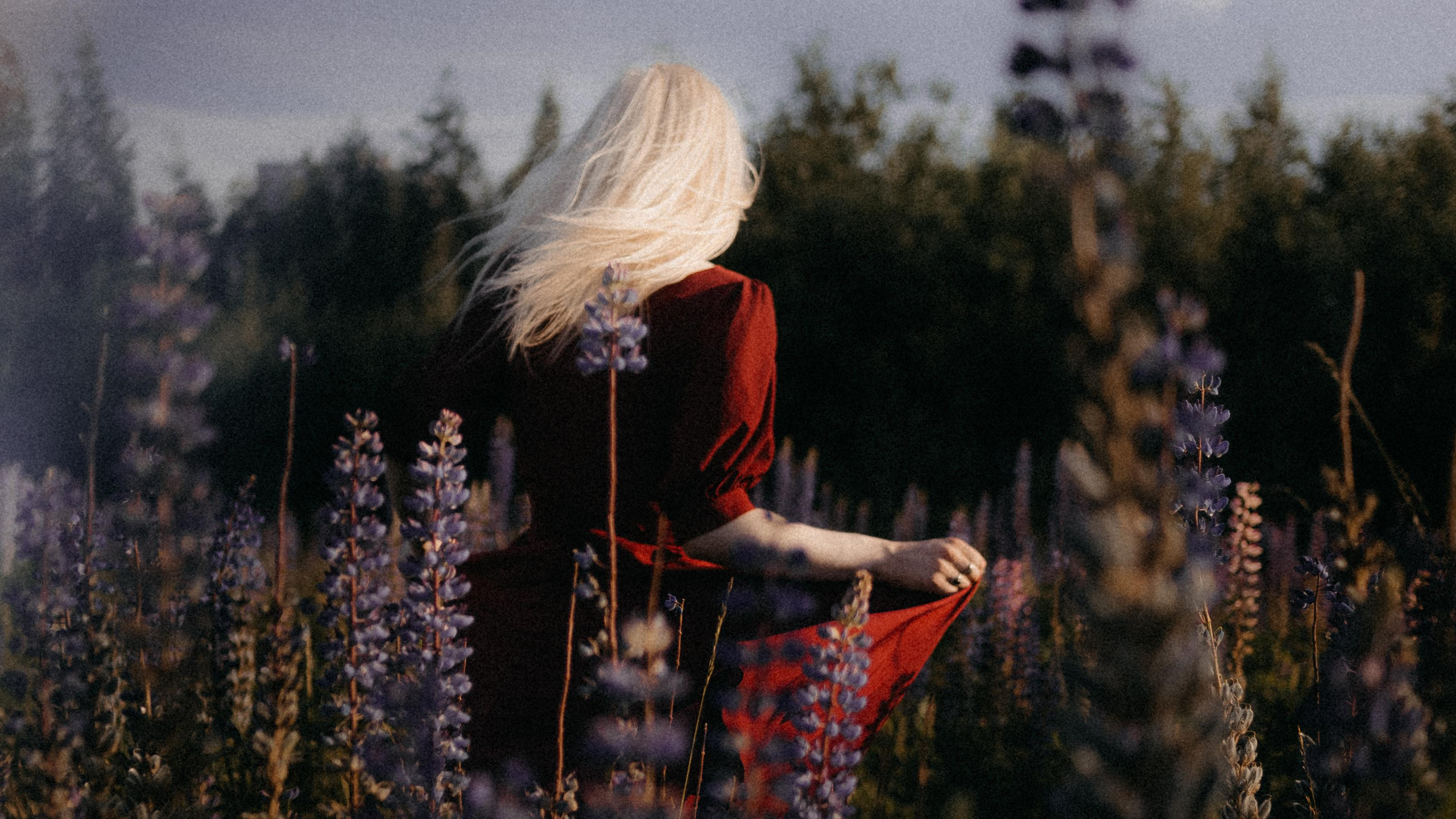 Люпиновая. Фотограф в Санкт-Петербурге Вера Сивенкова