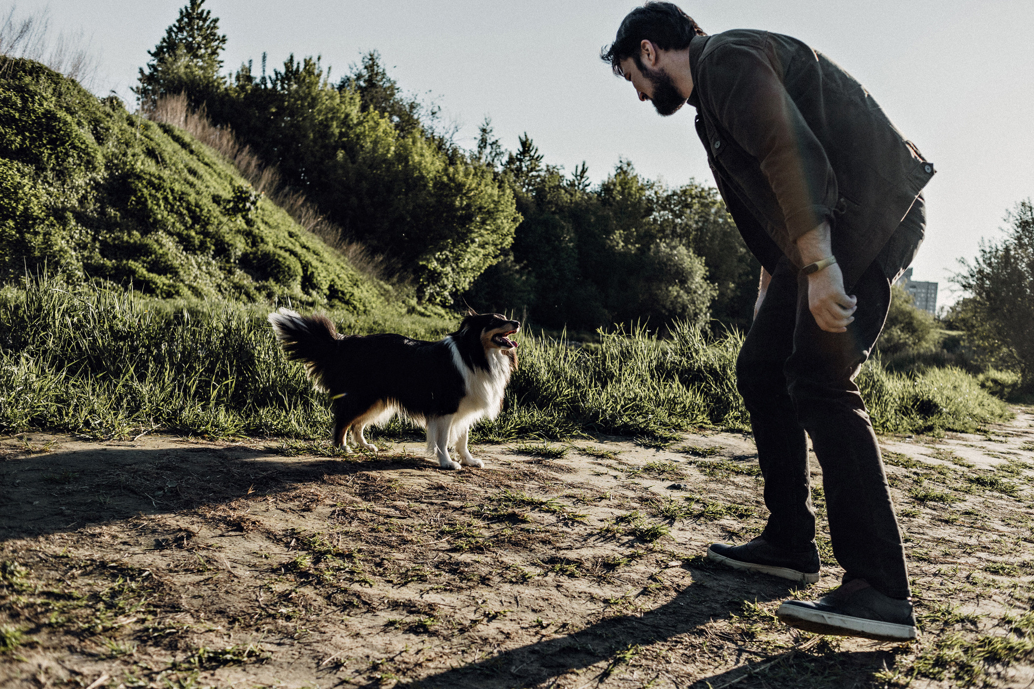 Пошли гулять с собакой?. Фотограф в Санкт-Петербурге Вера Сивенкова