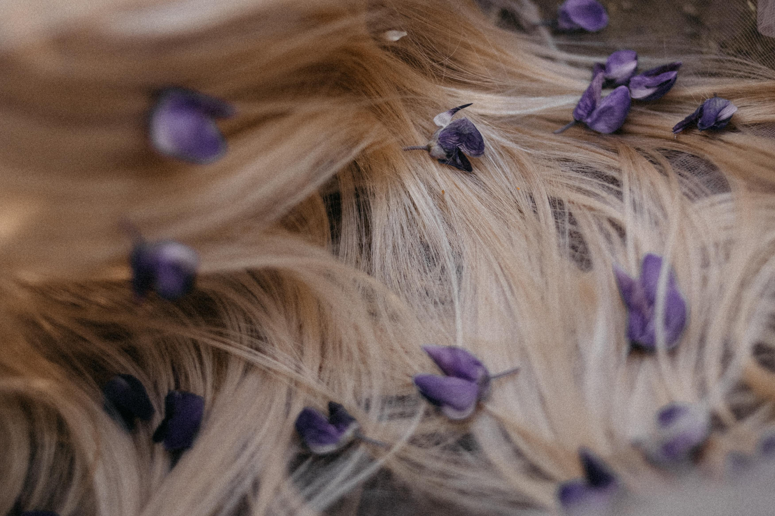 Люпиновая. Фотограф в Санкт-Петербурге Вера Сивенкова