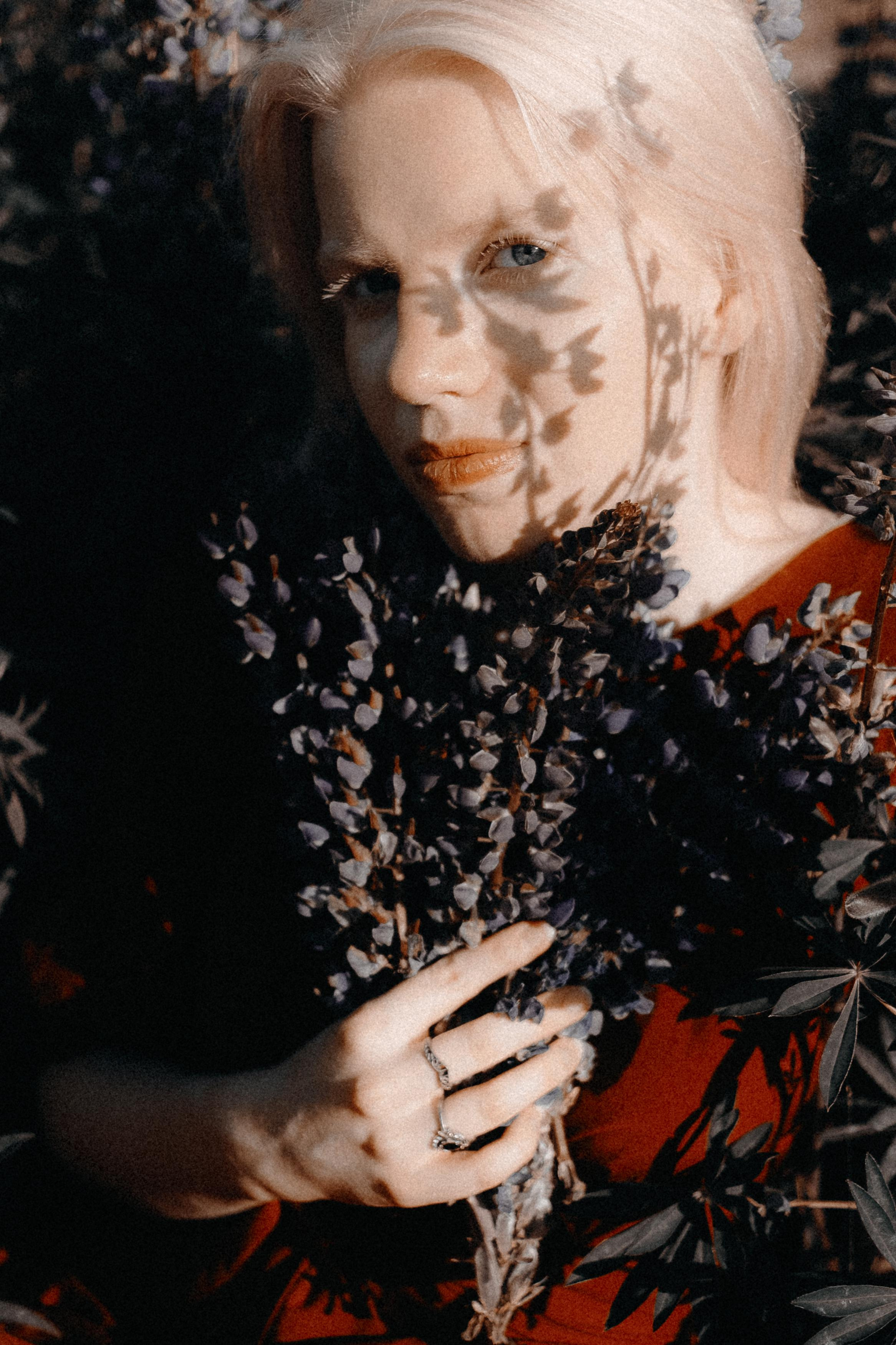 Люпиновая. Фотограф в Санкт-Петербурге Вера Сивенкова