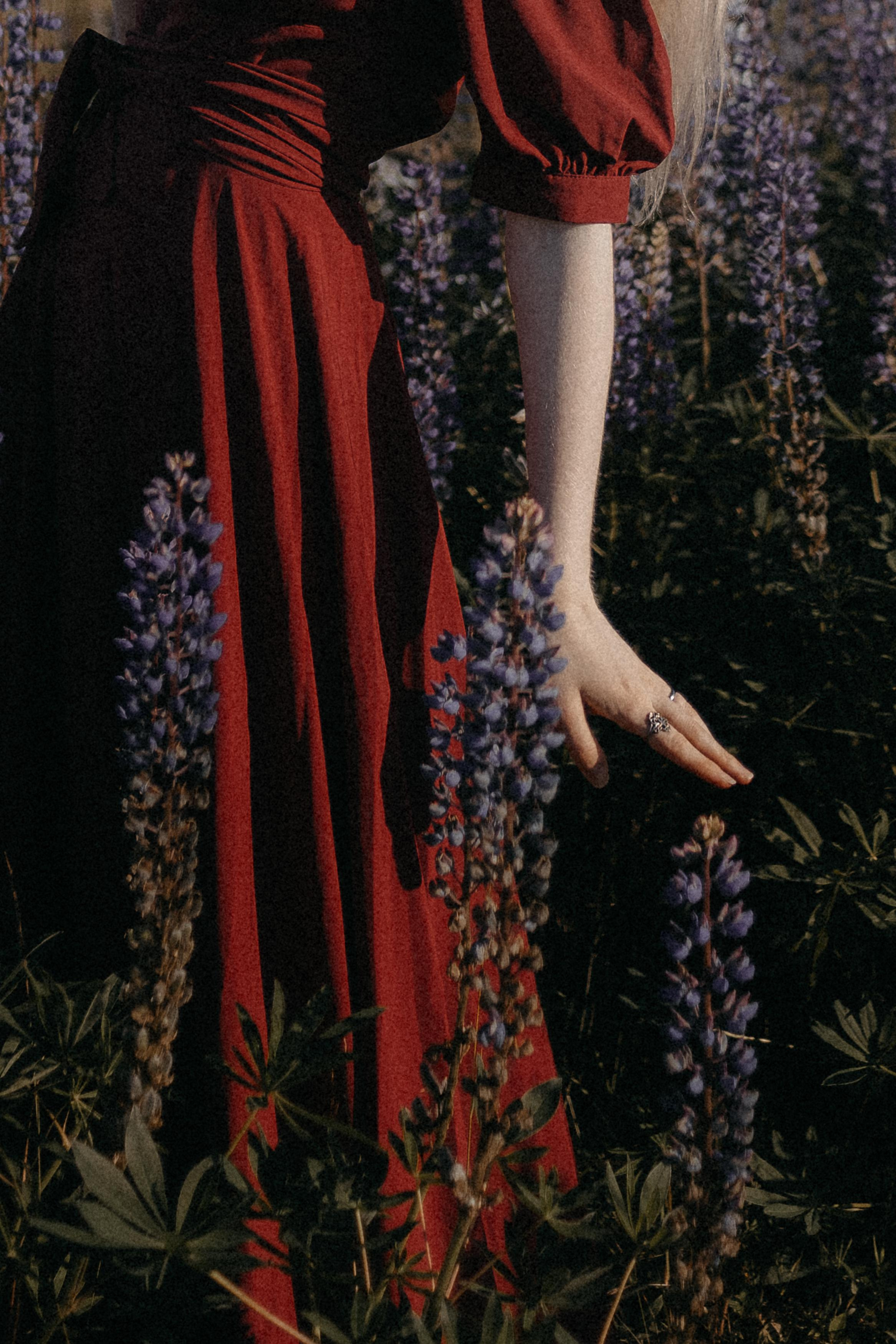 Люпиновая. Фотограф в Санкт-Петербурге Вера Сивенкова