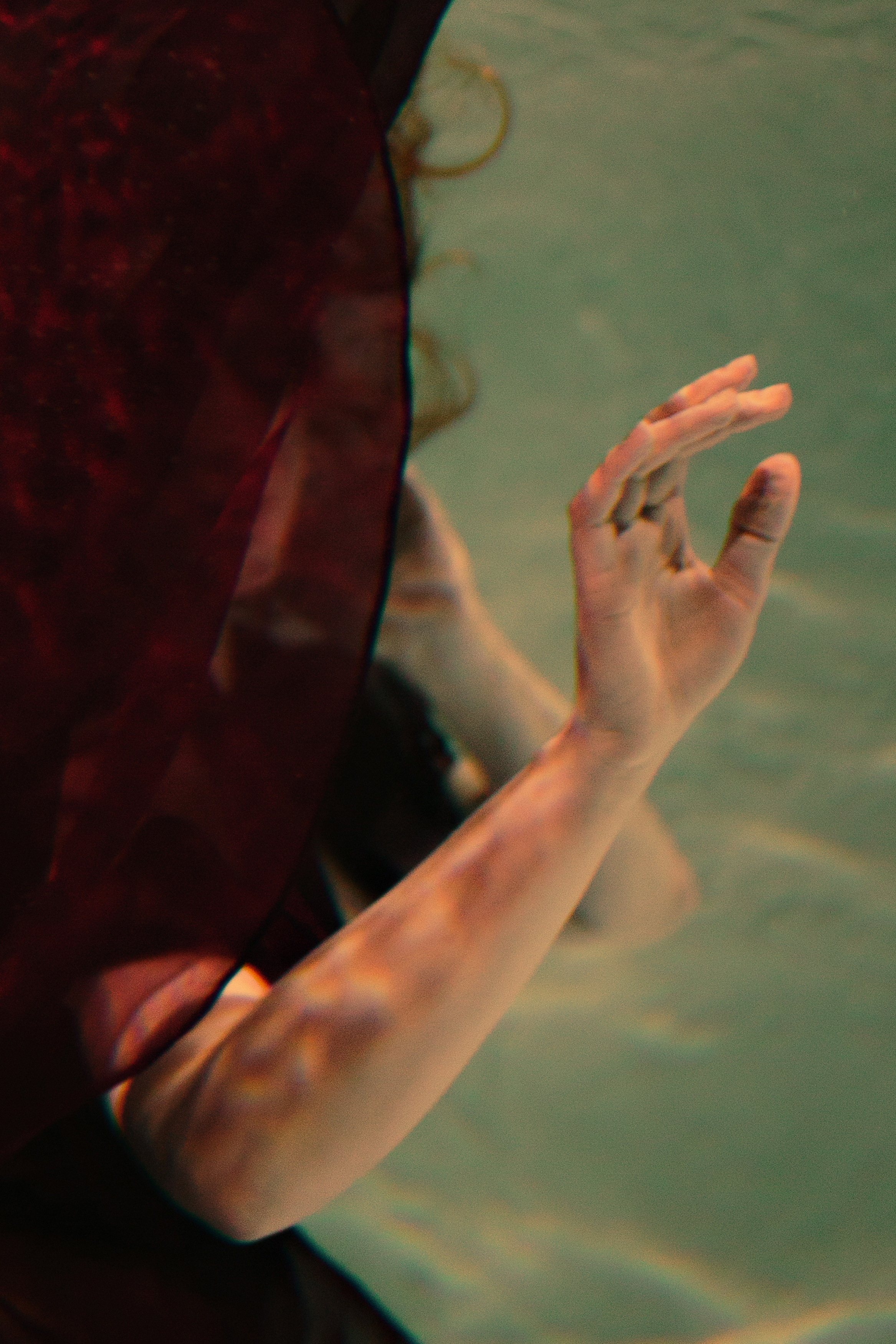 Песни сирены. Фотограф в Санкт-Петербурге Вера Сивенкова