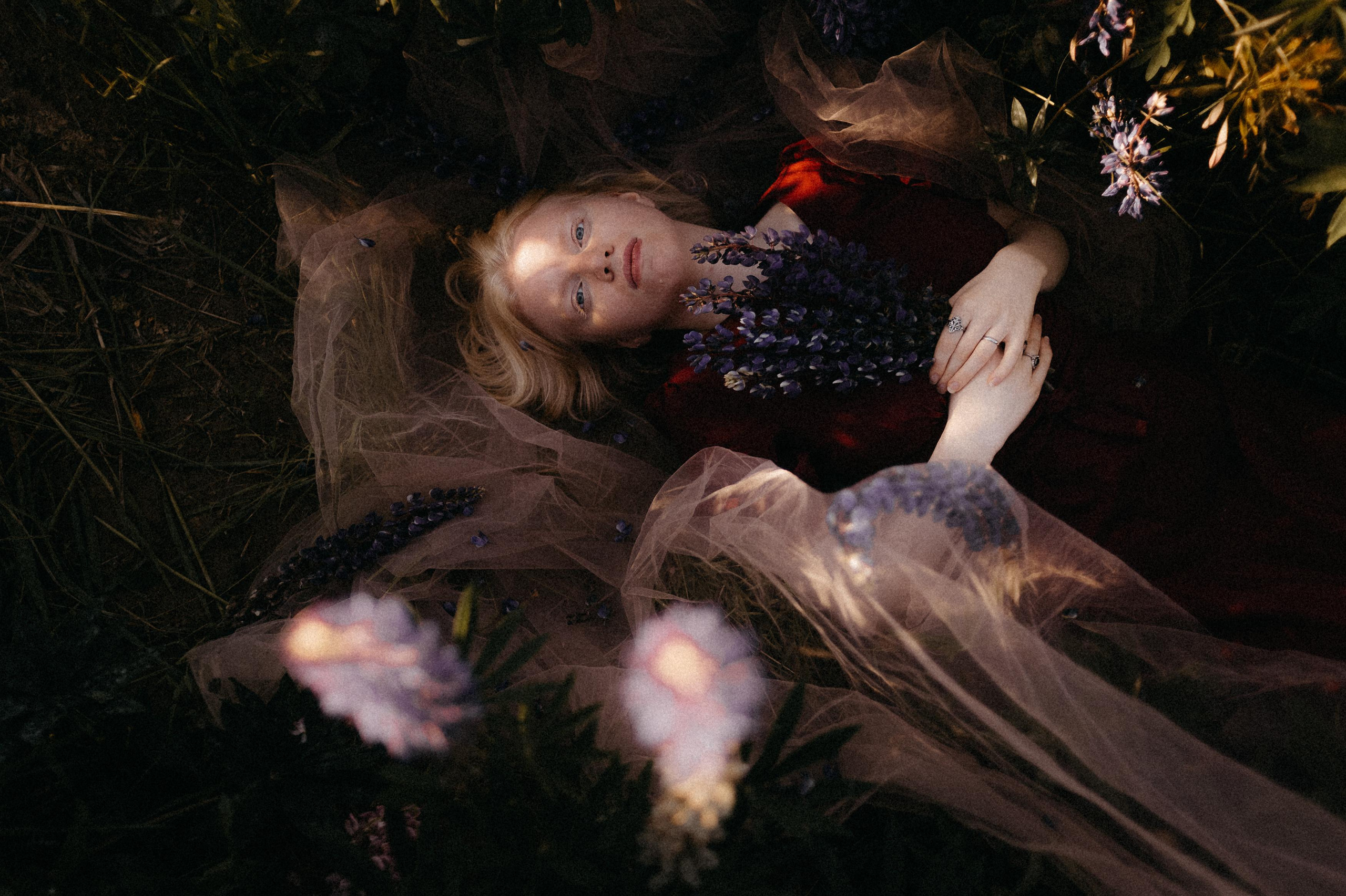 Люпиновая. Фотограф в Санкт-Петербурге Вера Сивенкова