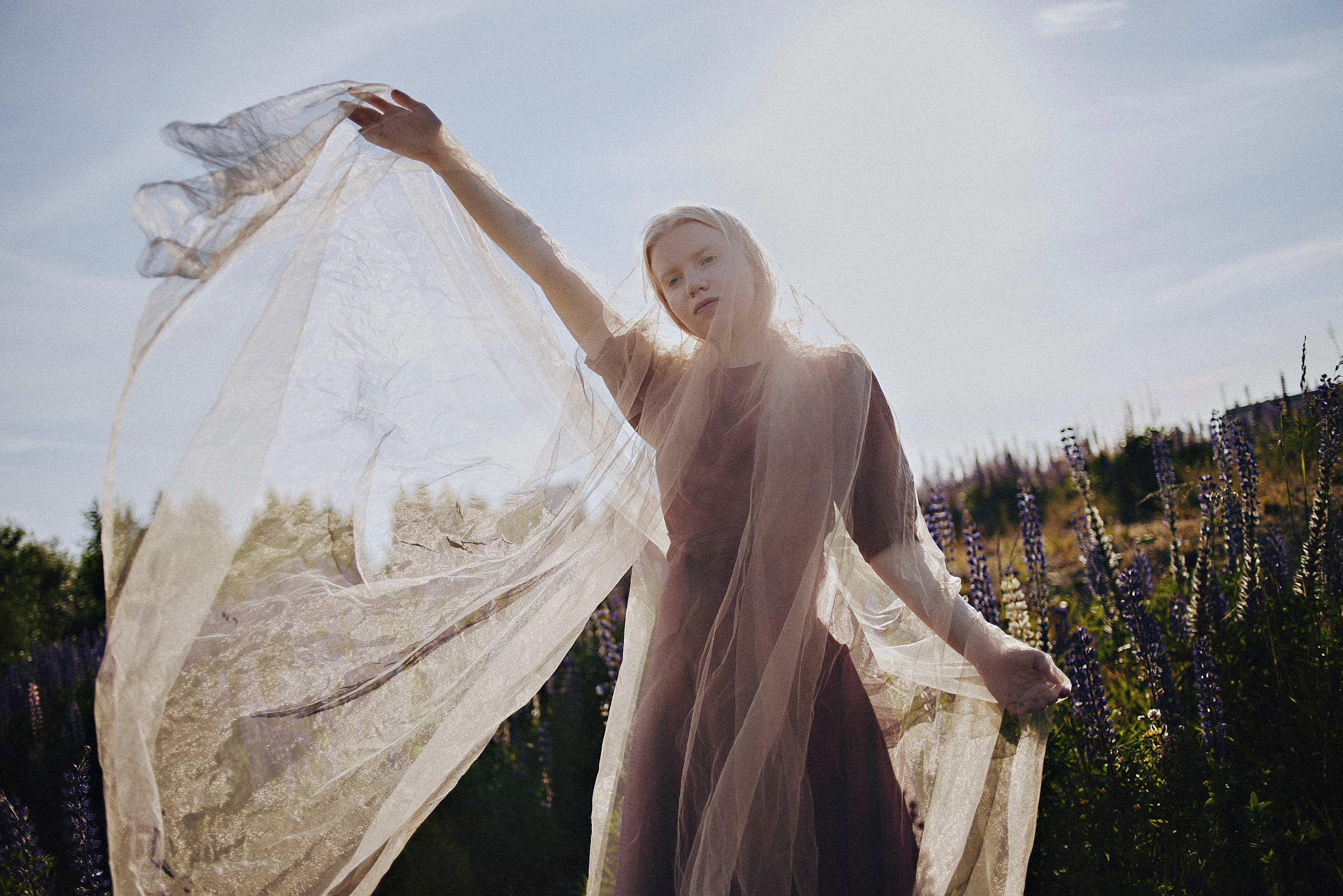 Люпиновая. Фотограф в Санкт-Петербурге Вера Сивенкова