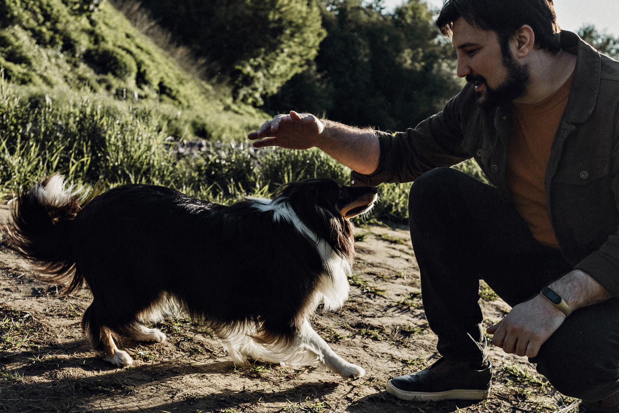 Пошли гулять с собакой?. Фотограф в Санкт-Петербурге Вера Сивенкова