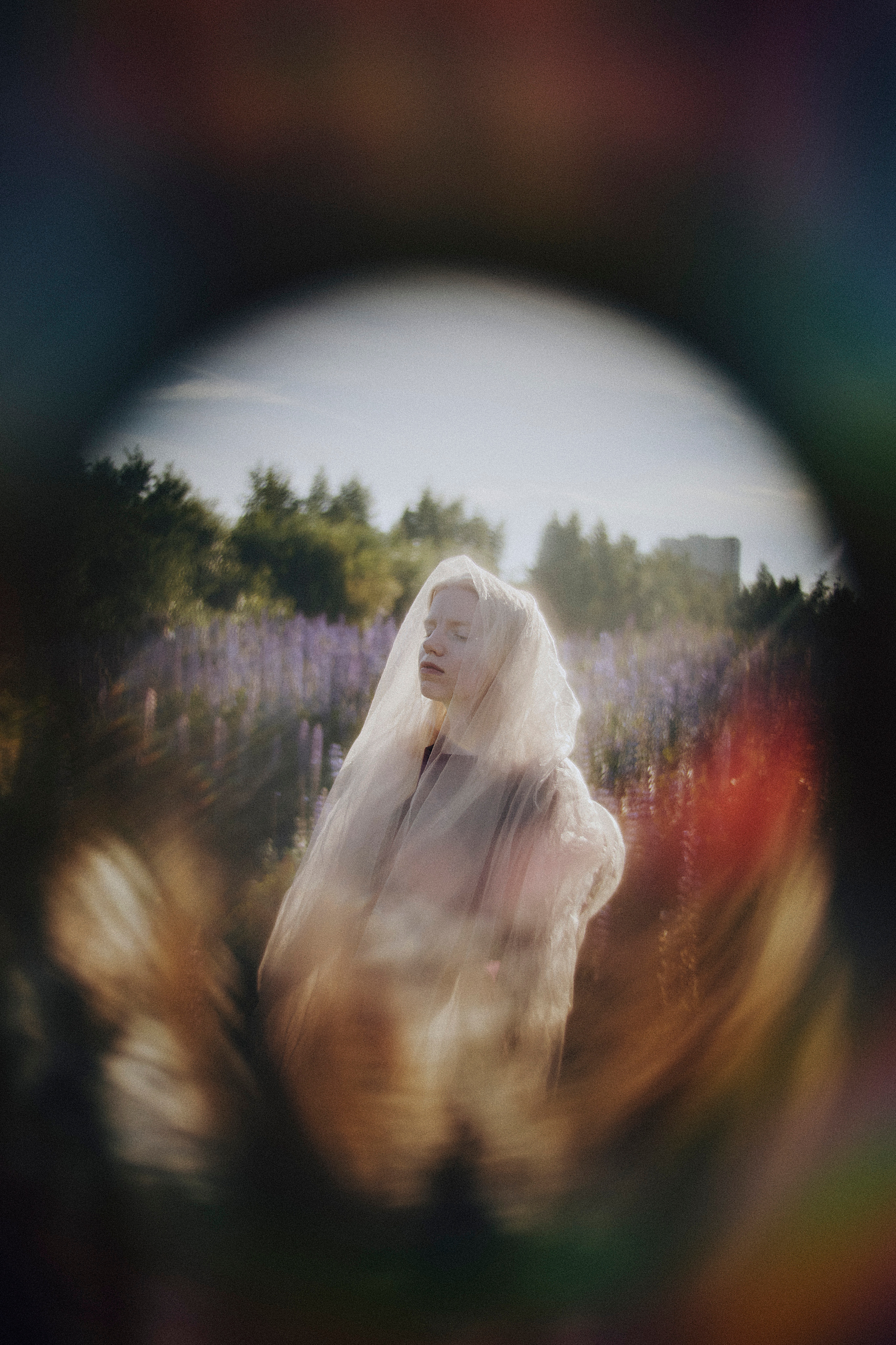 Люпиновая. Фотограф в Санкт-Петербурге Вера Сивенкова