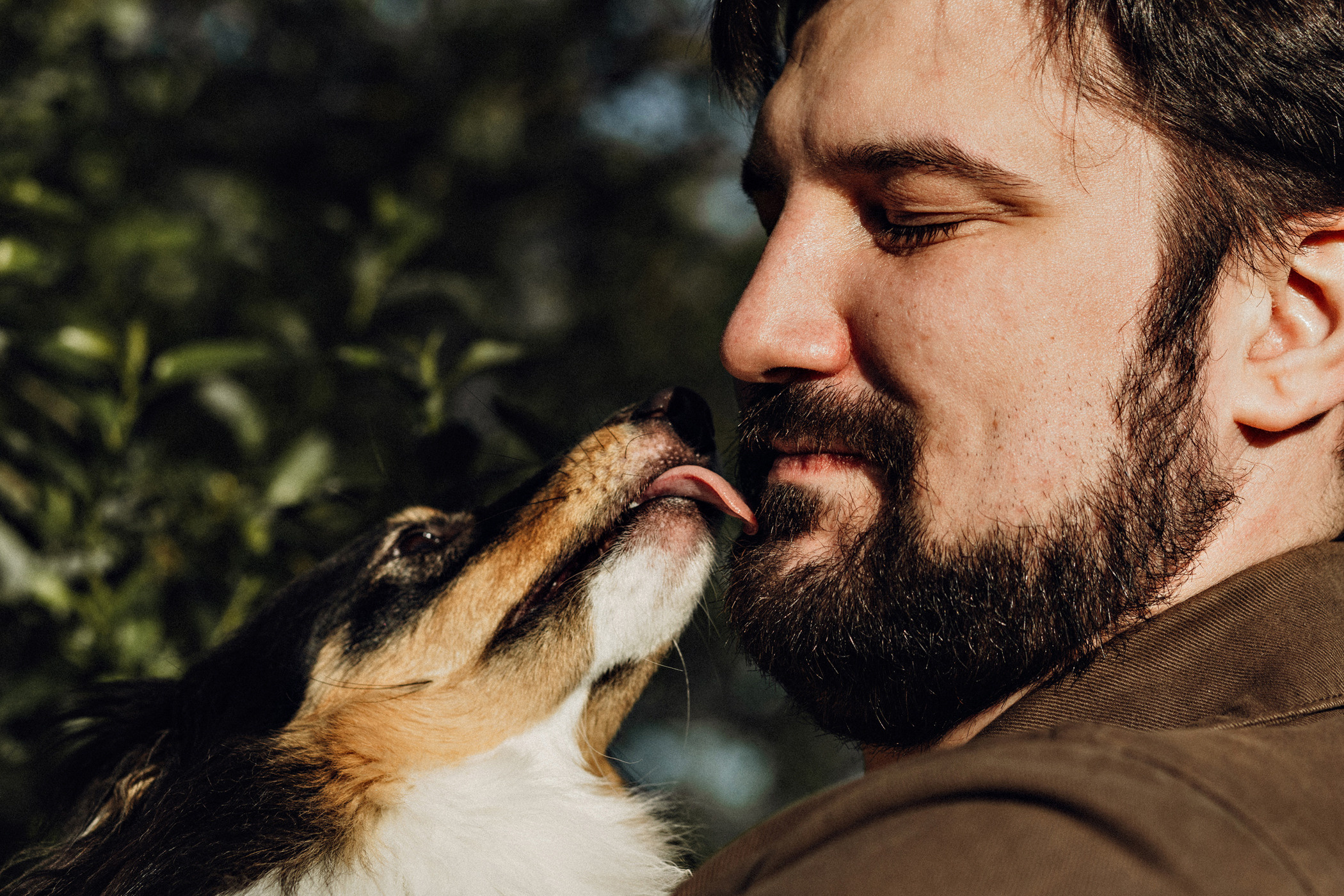 Пошли гулять с собакой?. Фотограф в Санкт-Петербурге Вера Сивенкова
