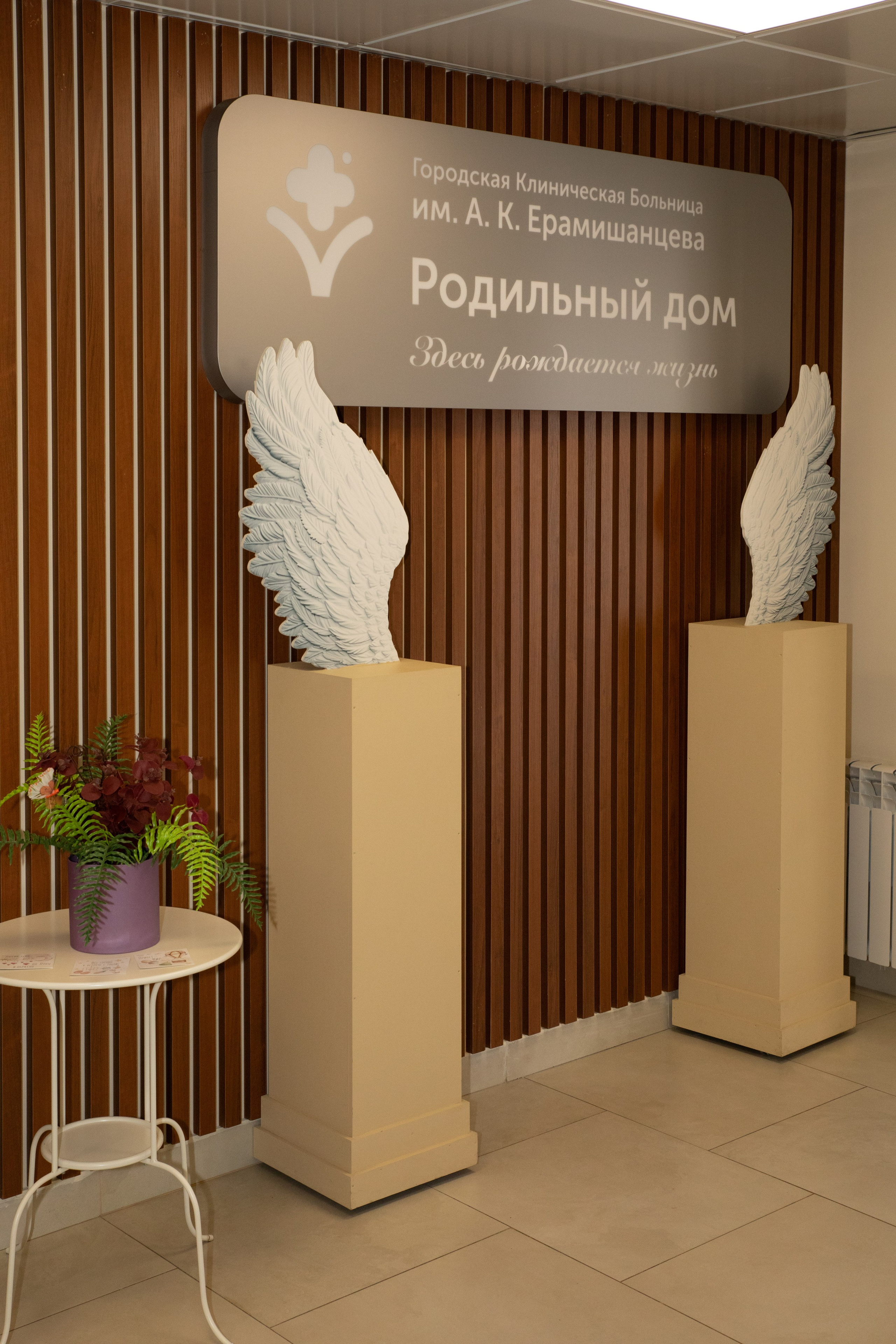 Выписка из роддома ГКБ им. Ерамишанцева. Фотограф в Москве Яна Полосина