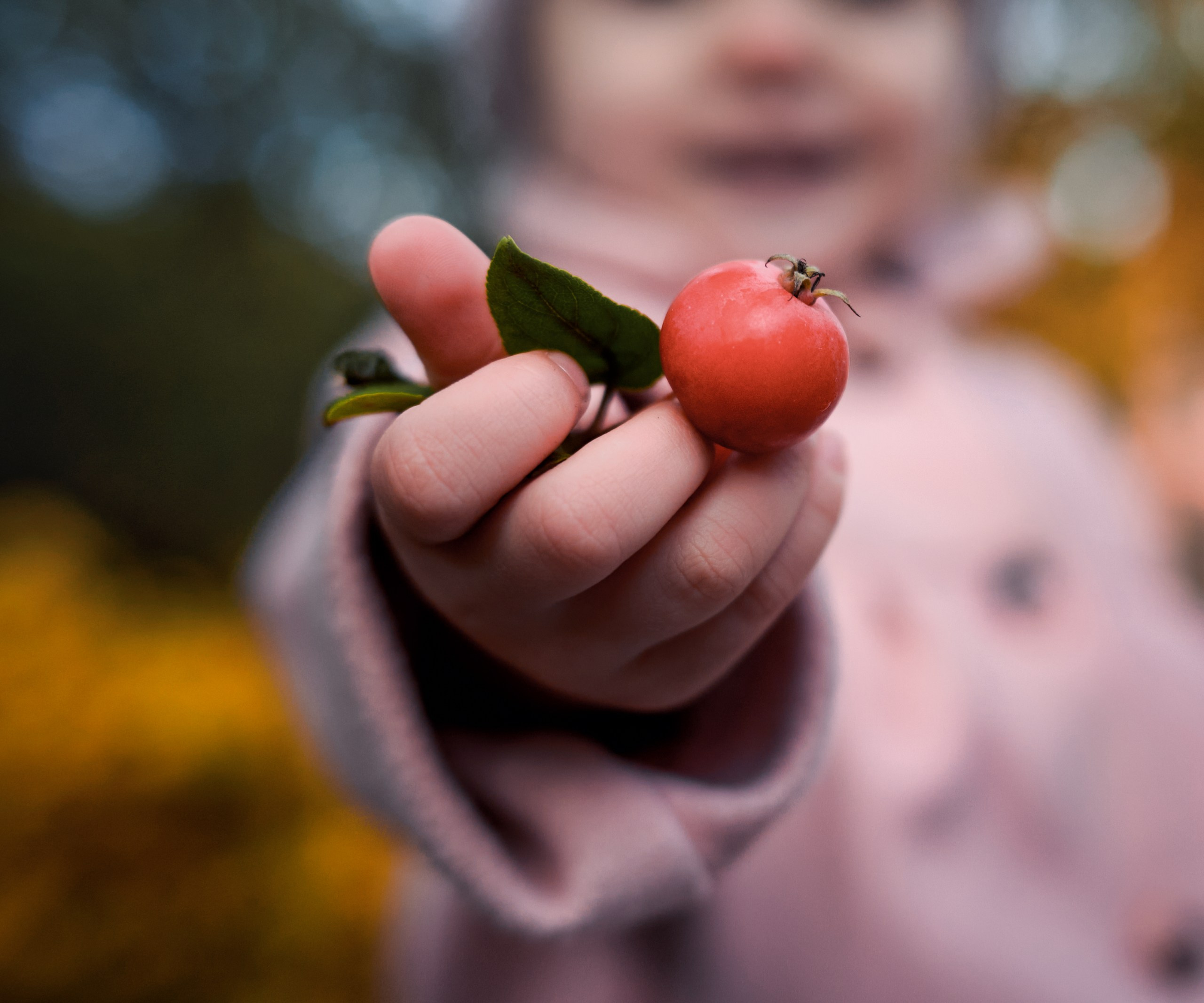 Осень в Новой Голландии. May the numbers guide us
