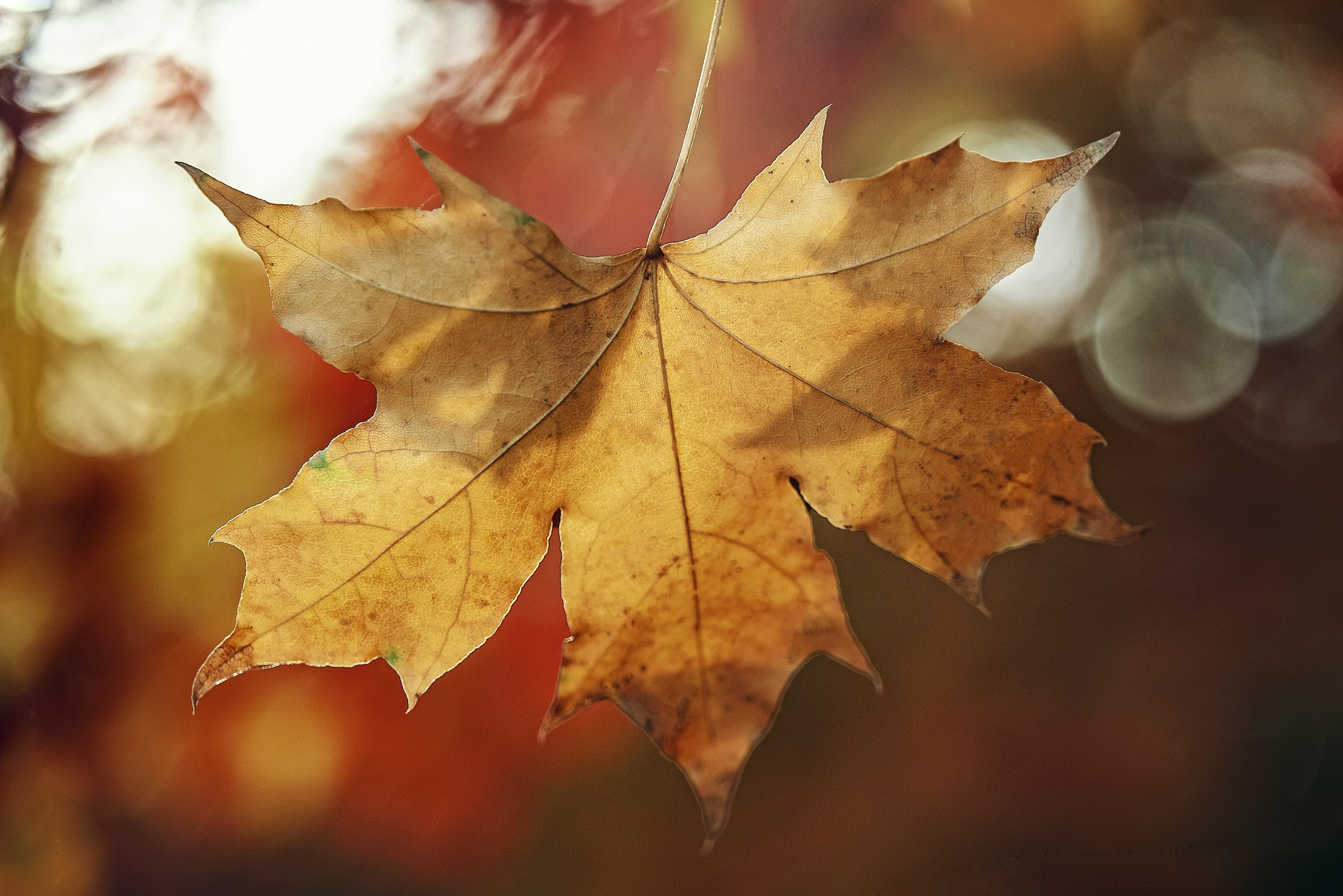 Загадочный Китай. FotoGraf