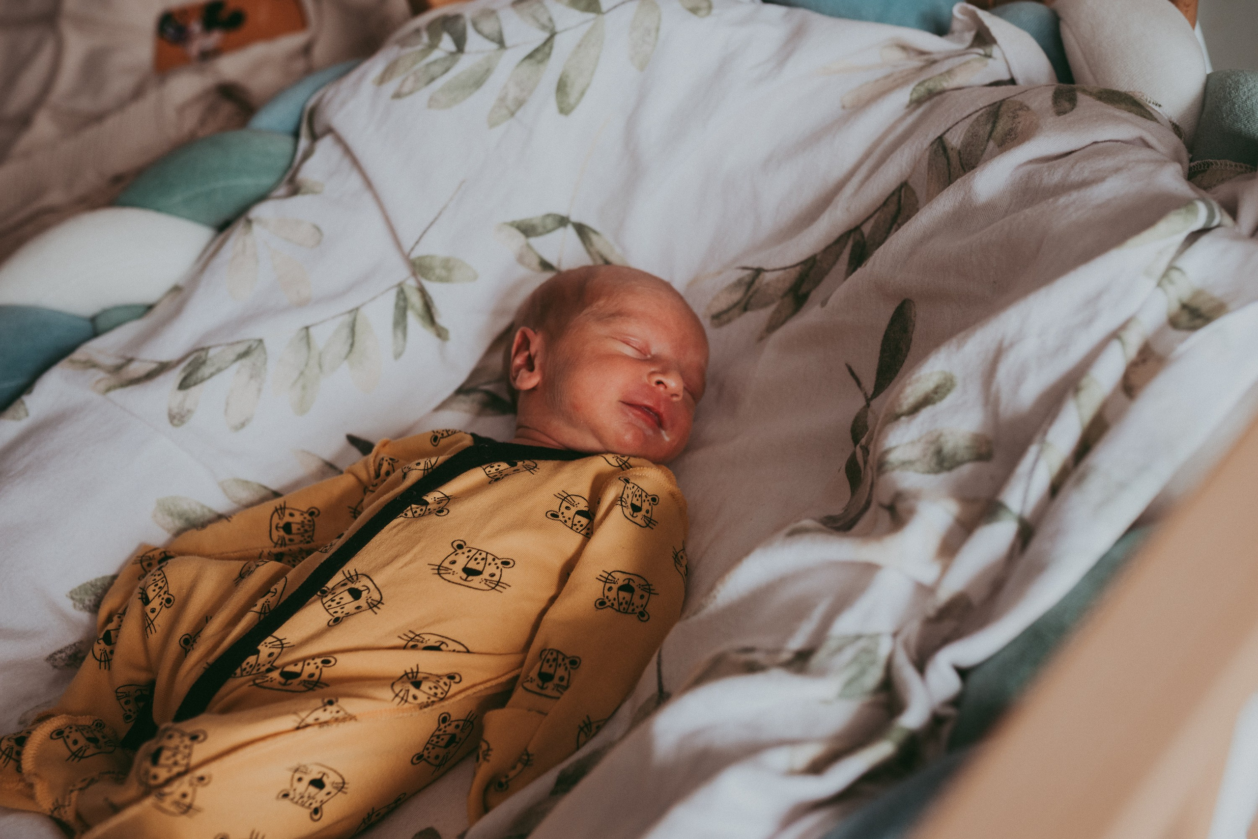 Маленький космос. Семейный и детский фотограф в Новосибирске и Краснообске — Анна Ким