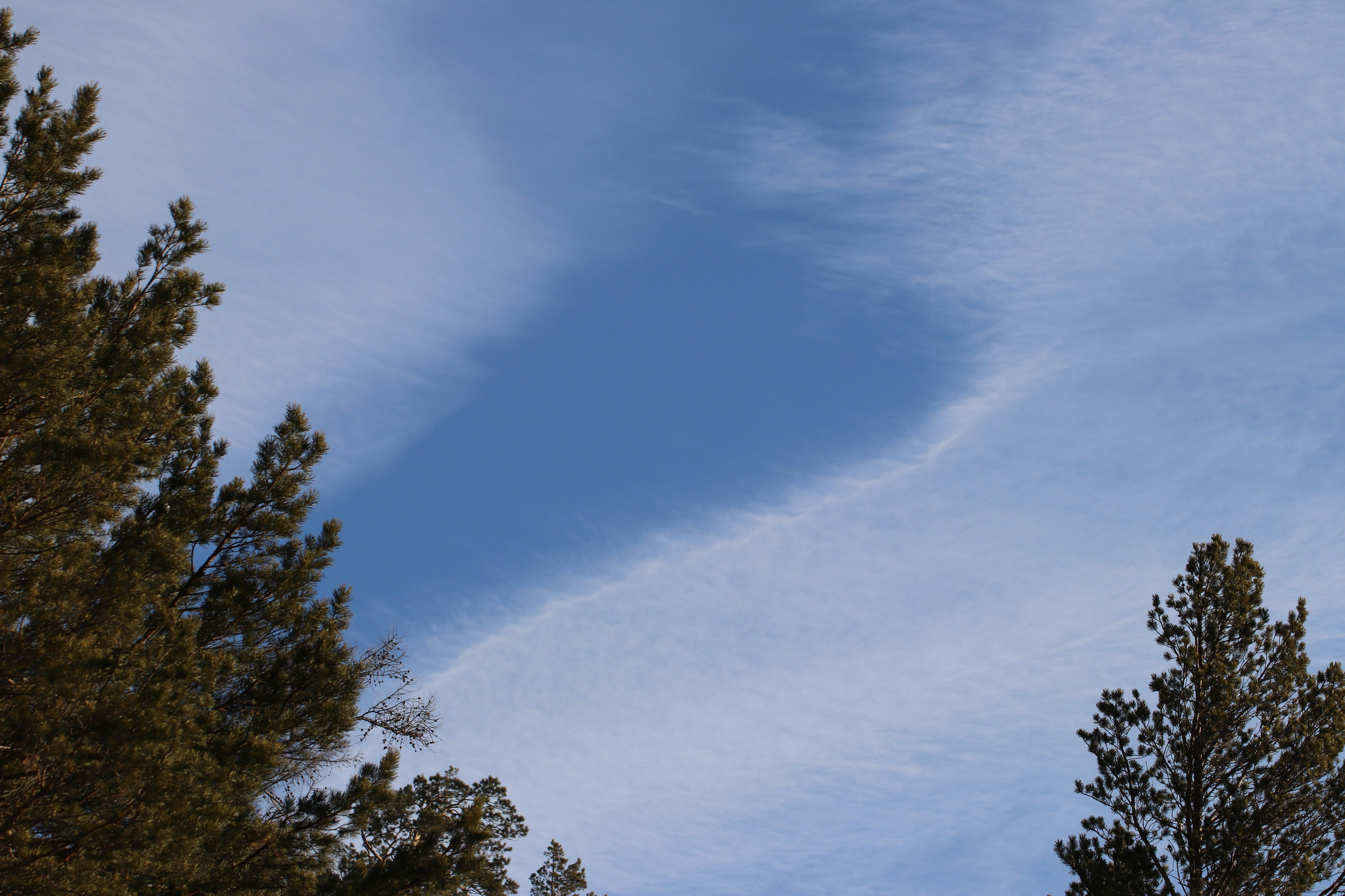 Аршан. Январь 2022. Путешественник-фотограф из Санкт-Петербурга Татьяна Свистулина