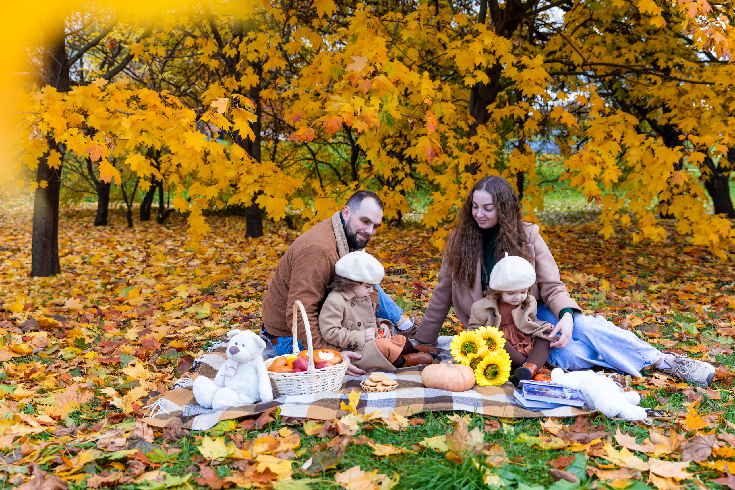 Осень в парке. Фотограф и Видеограф в Москве Дарья Арсентьева